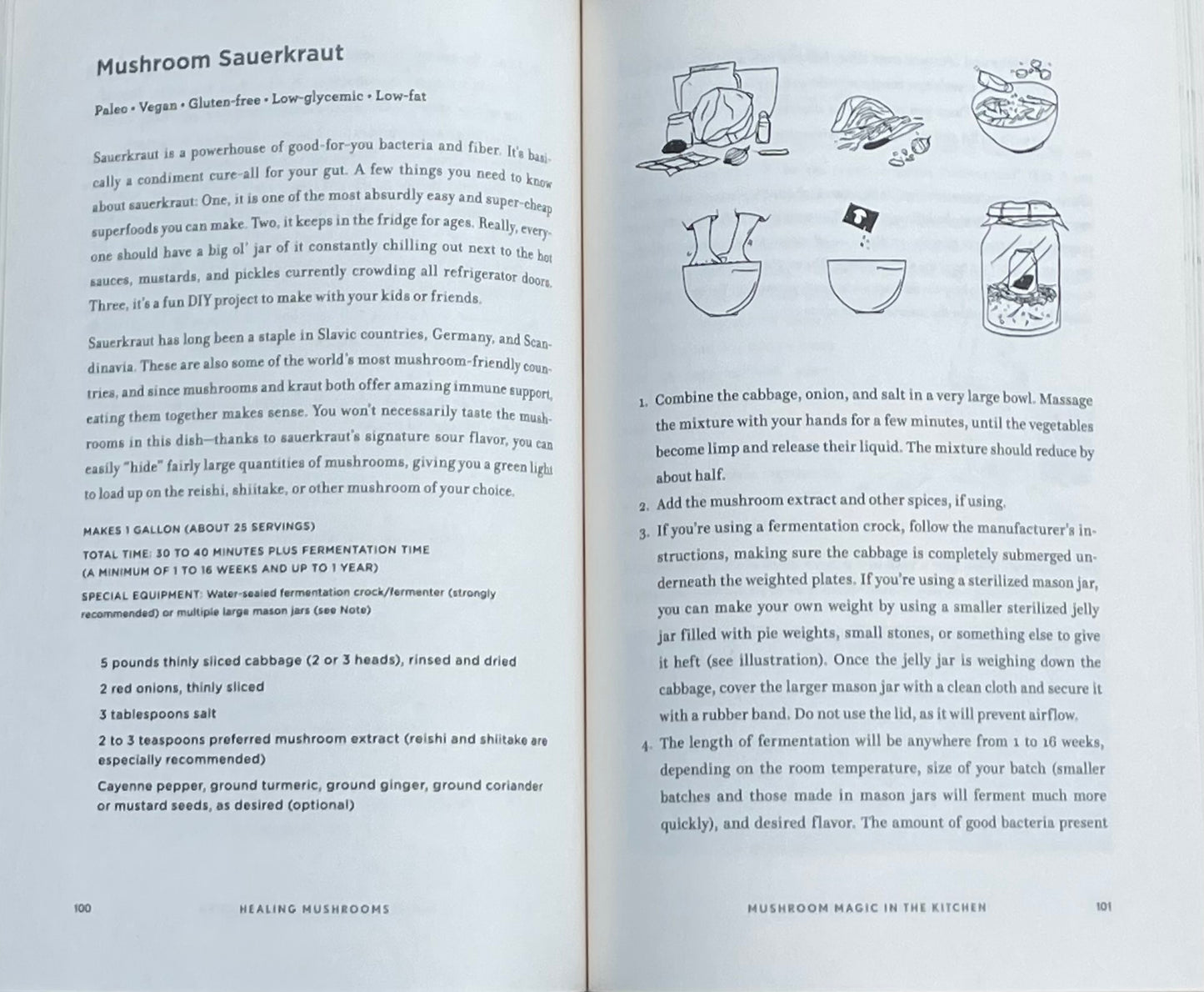 Adaptogenic Healing Mushrooms: A Practical and Culinary Guide to Using Mushrooms for Whole Body Health by Tero Isokauppila - Chaga Cordyceps Reishi
