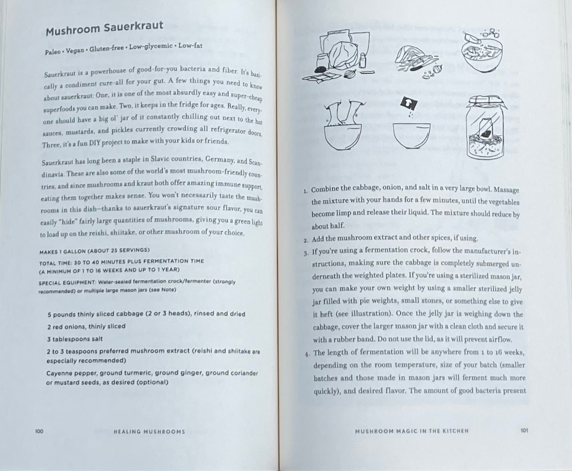 Adaptogenic Healing Mushrooms: A Practical and Culinary Guide to Using Mushrooms for Whole Body Health by Tero Isokauppila - Chaga Cordyceps Reishi
