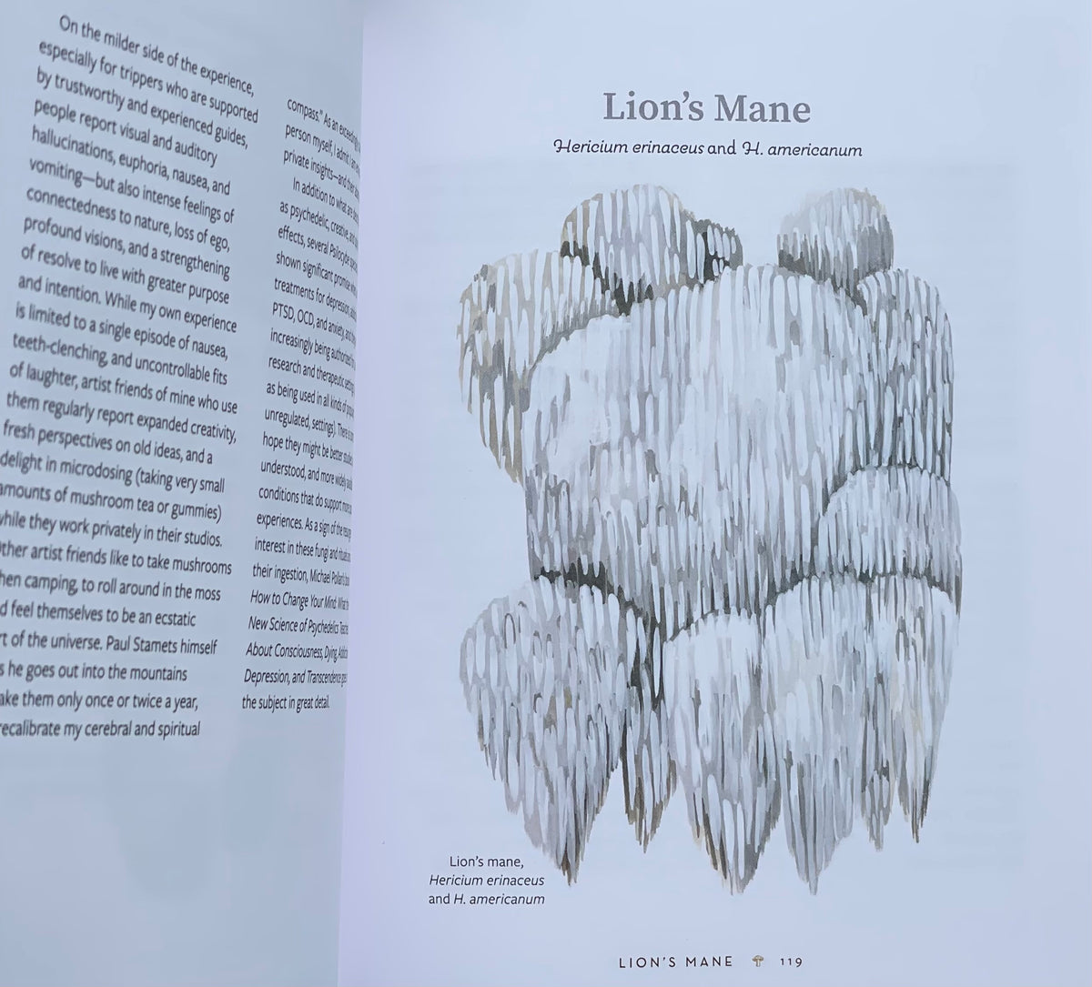 Mushrooming: An Illustrated Guide to the Fantastic, Delicious, Deadly, and Strange World of Fungi Adaptagen Cordyceps Lion’s Mane Mushroom