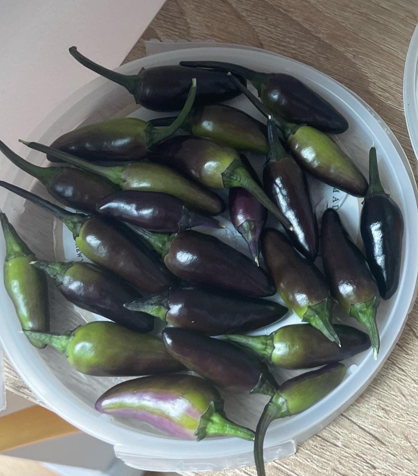 Peruvian Purple Hot Pepper Seeds