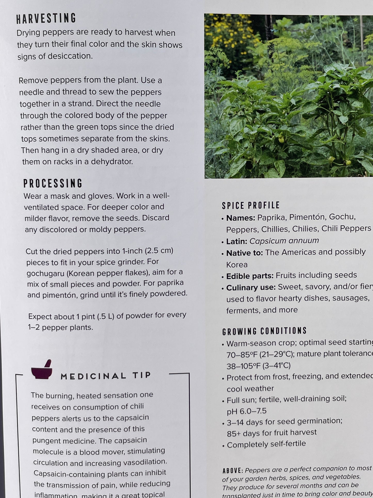How to Grow Your Own Spices Cookbook Herb and Spice Remedy Recipe Book Housewarming Gift for Cook Herbal Enthusiast Present Idea Gardener