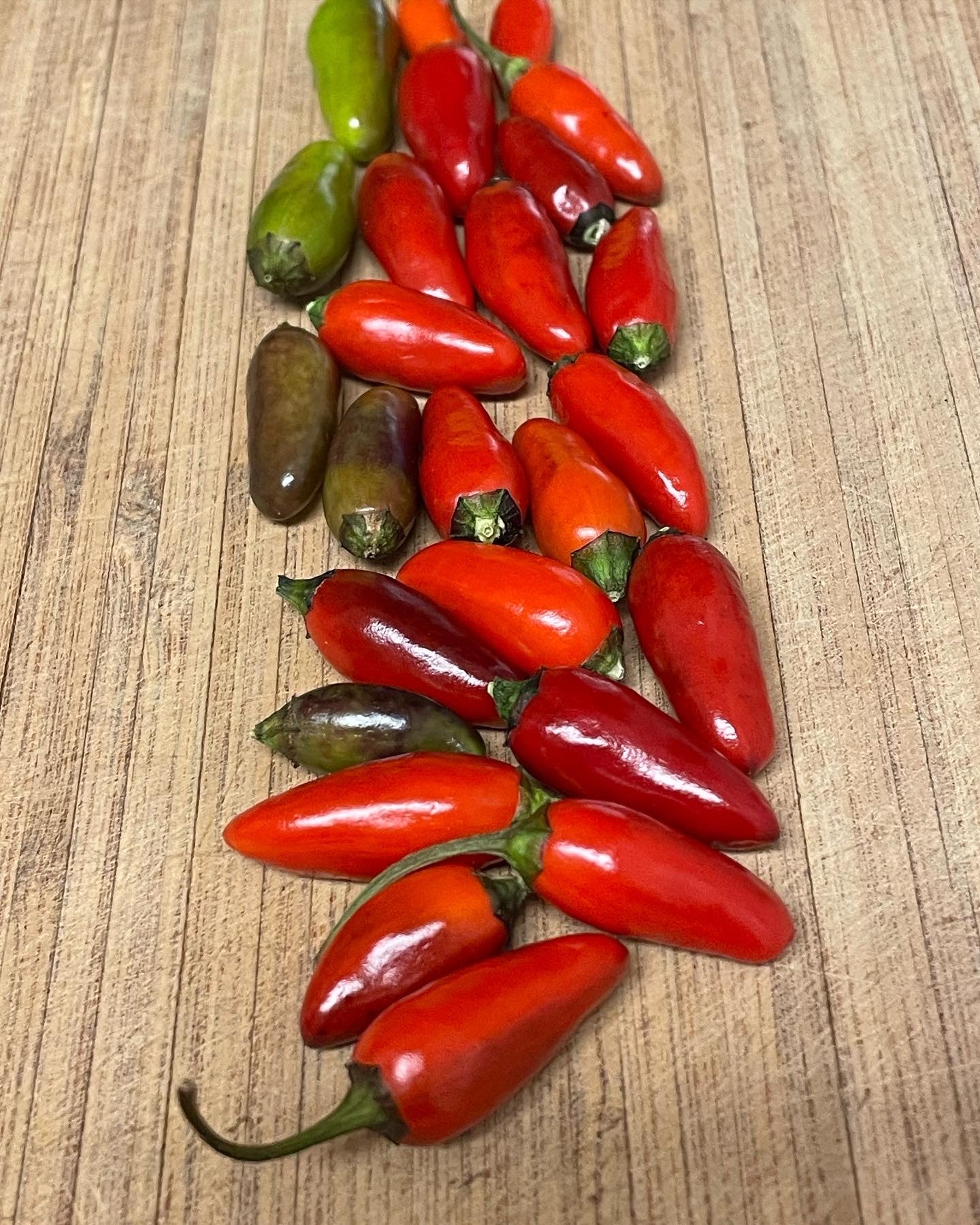 Peruvian Purple Hot Pepper Seeds