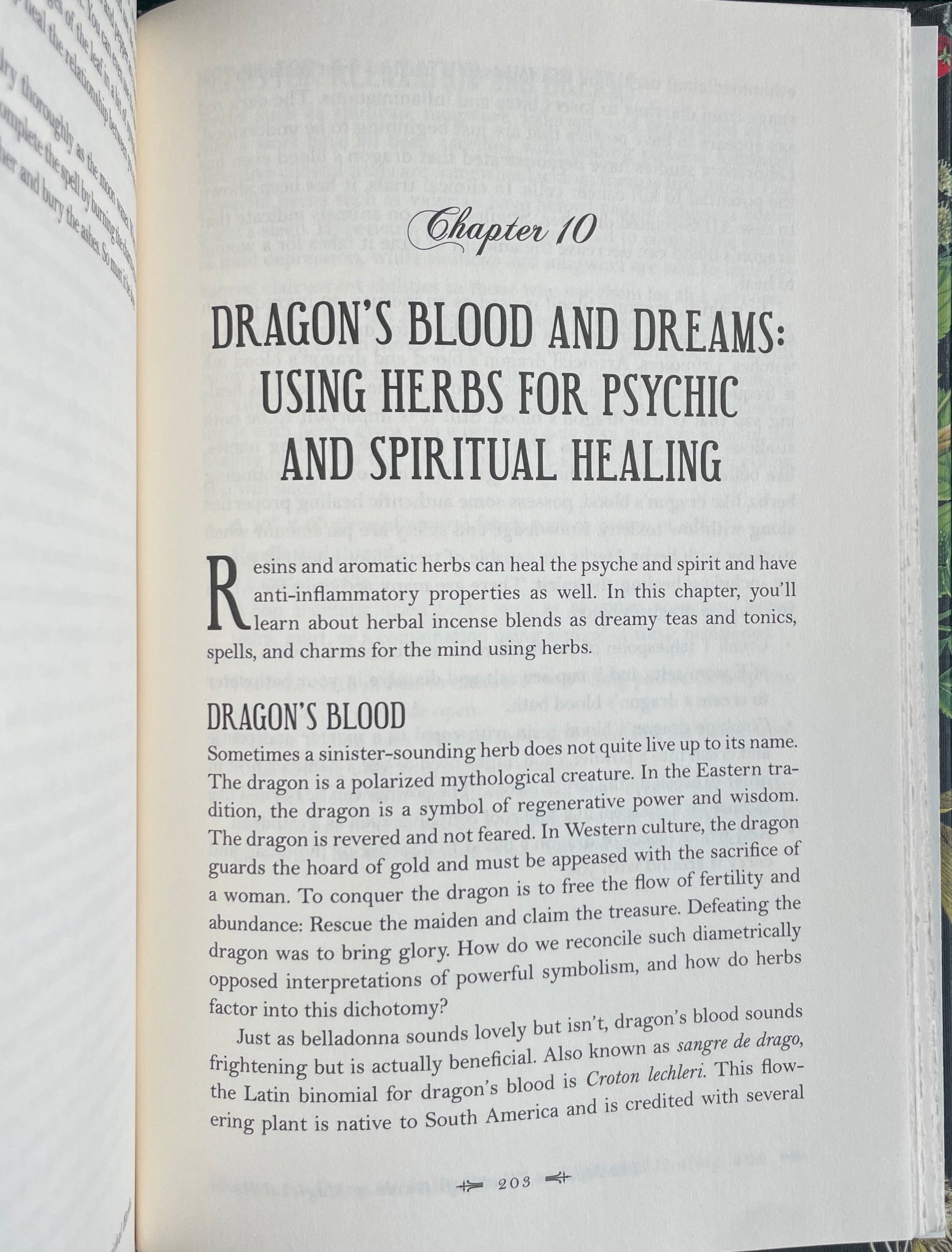 The Modern Withcraft Guide to Magikal Herbs by Judy Ann Nock - Dragon's Blood