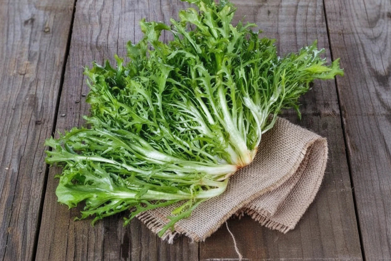 Endive Frisée Seeds Curled Ruffec Lettuce Organic Heirloom Lettuce Seeds Non GMO Seeds Easy to Grow Greens Winter Spring Gardener Gift Idea