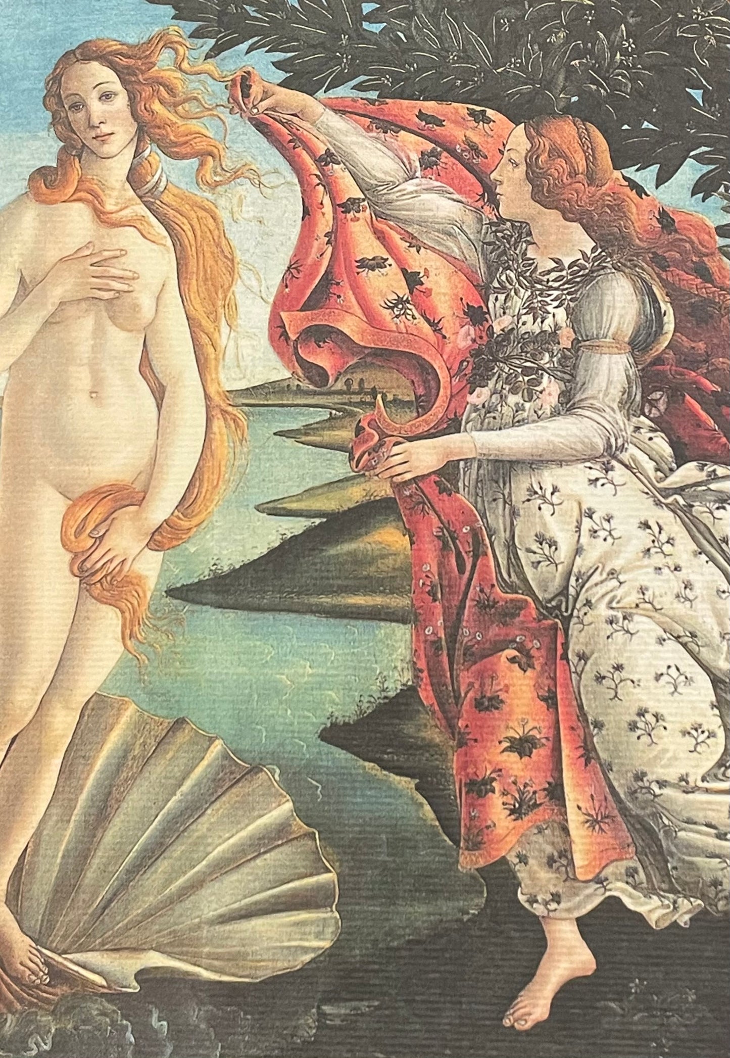 The Birth of Venus Notepad (Medium)