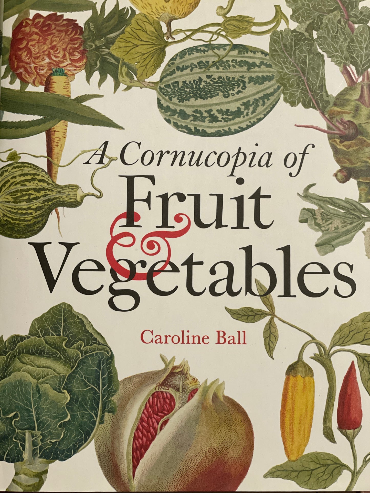 A Cornucopia of Fruits & Vegetables