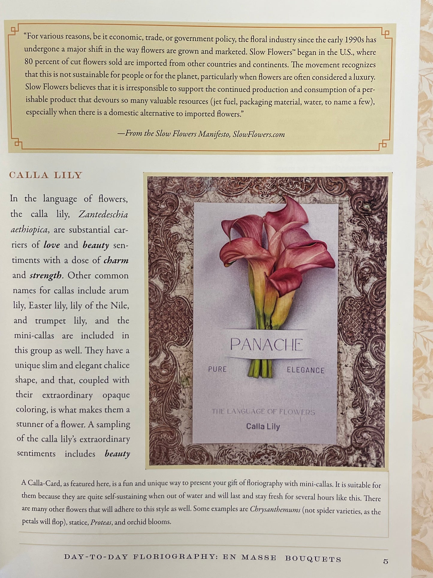 Modern Floriography Book of Flowers Garden Gift Language of Flowers Birthday Present Idea for Flower Lover Flower Design Floral Arrangement
