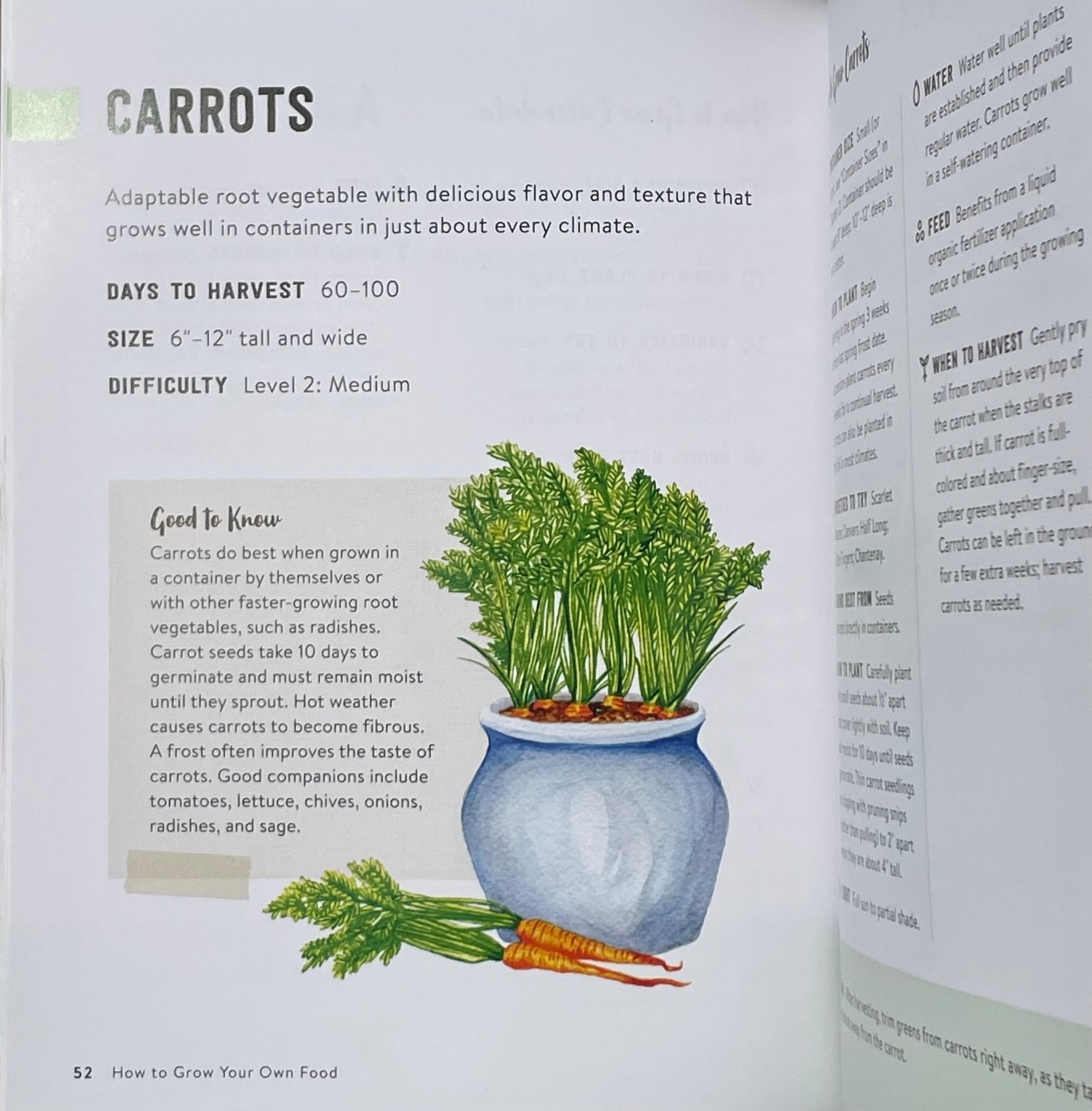How to Grow Your Own Food: An Illustrated Beginner's Guide to Container Gardening