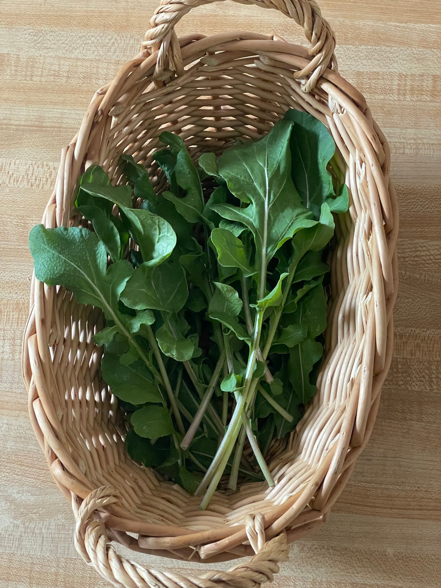 Italian Heirloom Organic Non GMO Arugula Rucola Coltivata Green Salad Seeds from Italy Fall Winter Lettuce Crop Garden Gift Healthy eating