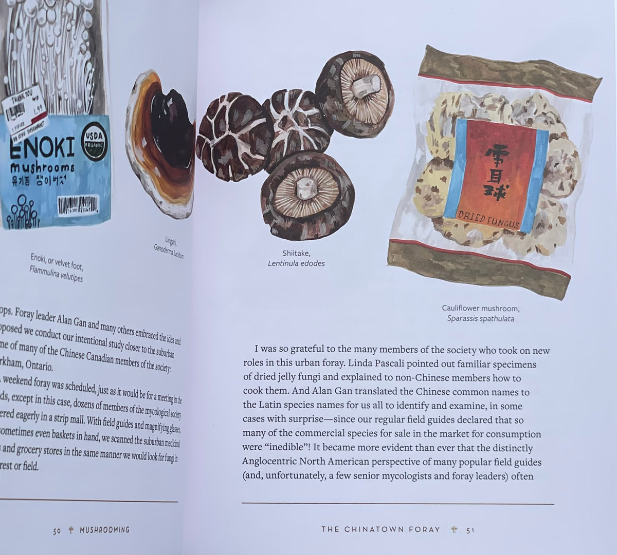 Mushrooming: An Illustrated Guide to the Fantastic, Delicious, Deadly, and Strange World of Fungi Adaptagen Cordyceps Shiitake Enoki