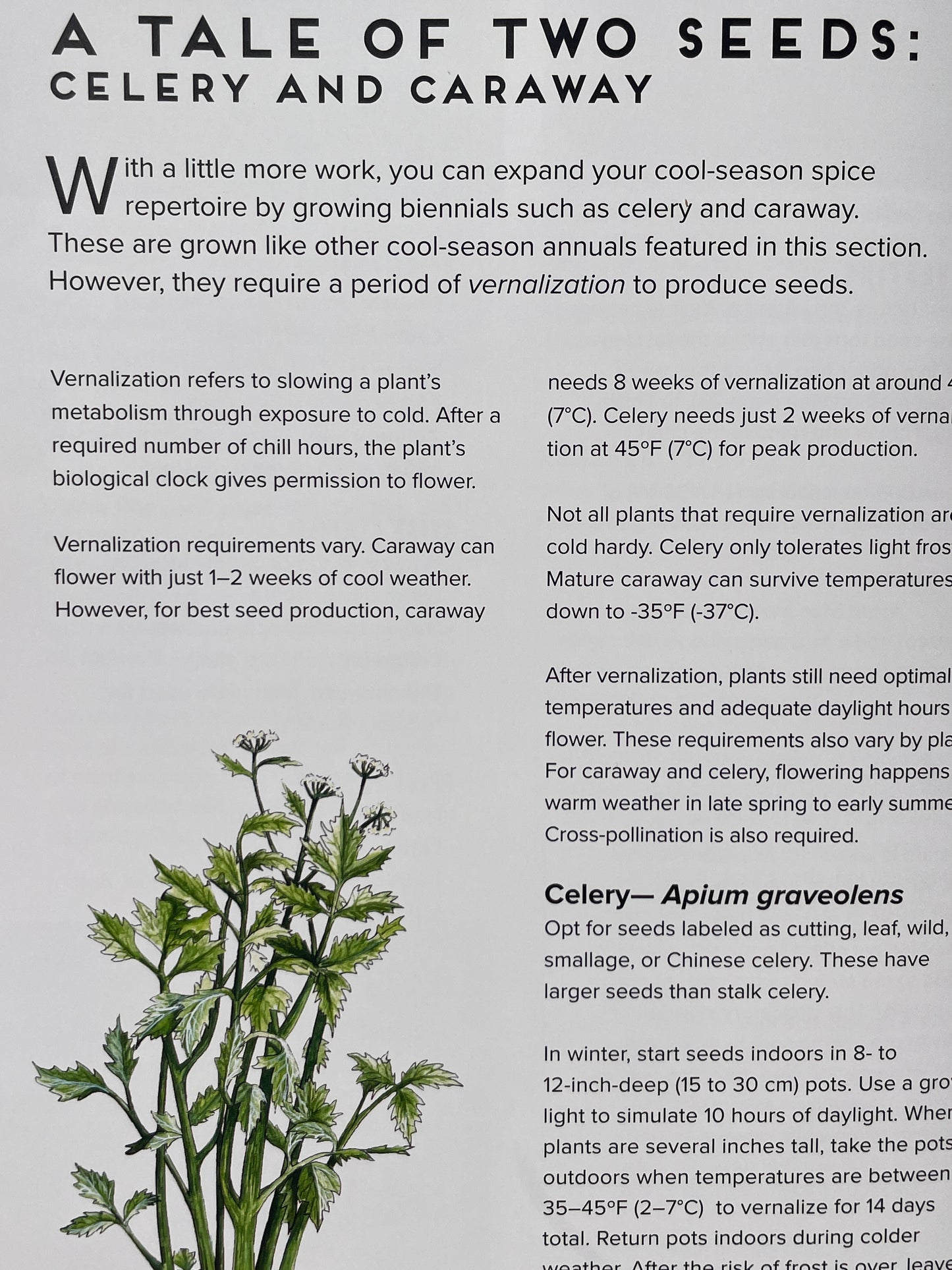 How to Grow Your Own Spices Cookbook Herb and Spice Remedy Recipe Book Housewarming Gift for Cook Herbal Enthusiast Present Idea Gardener