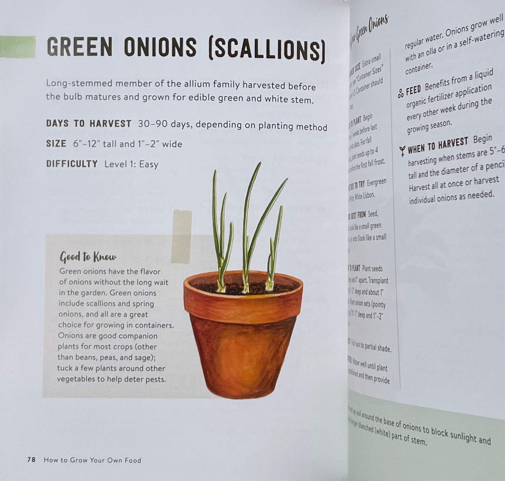 How to Grow Your Own Food: An Illustrated Beginner's Guide to Container Gardening