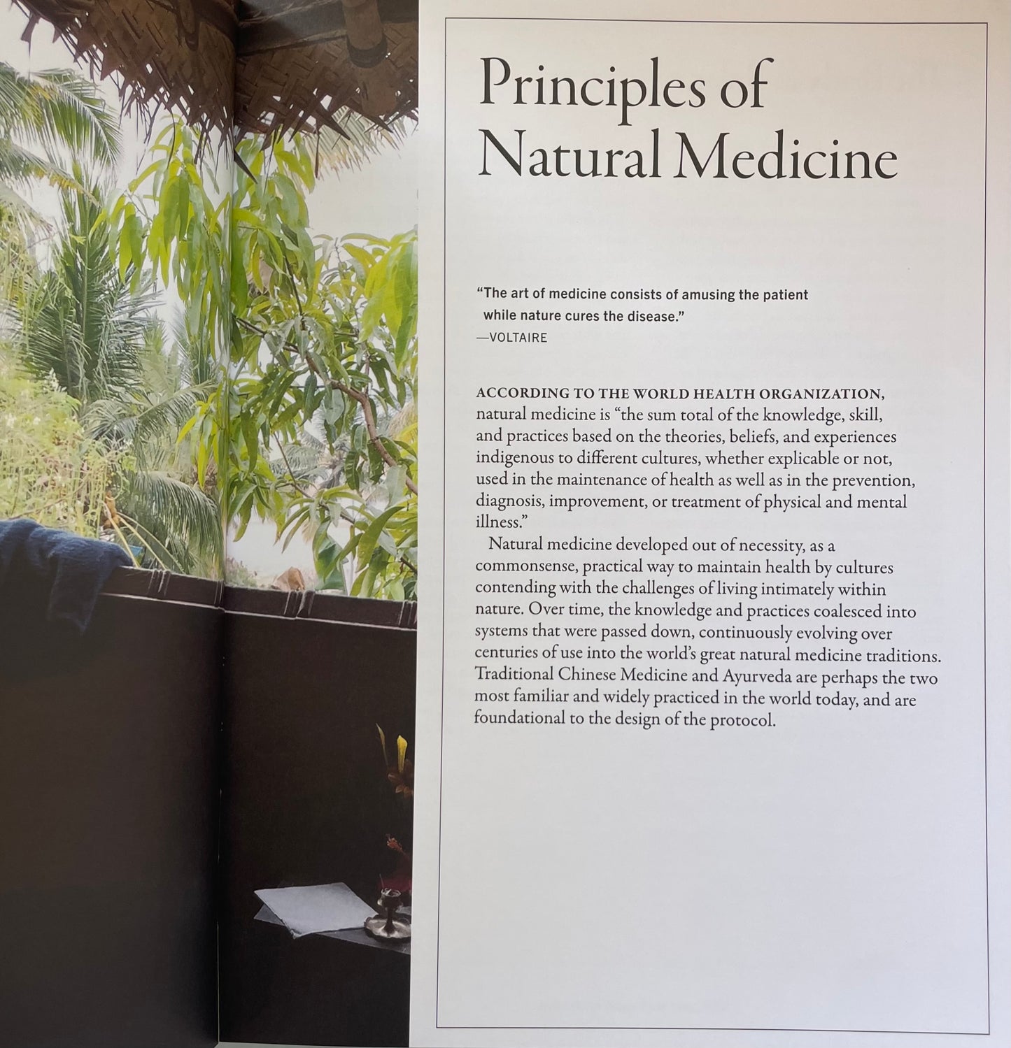 The Plant Medicine Protocol: Unlocking the Power of Plants for Optimal Health and Longevity Hardcover Herbal Remedy Vegan Cooking Book
