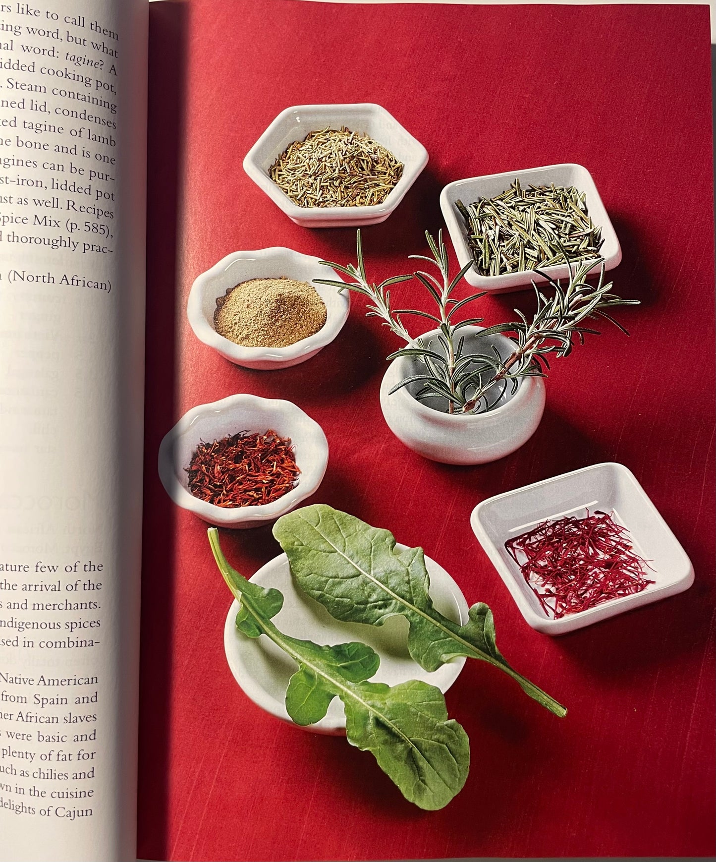 The Spice and Herb Bible - Ian Hempill