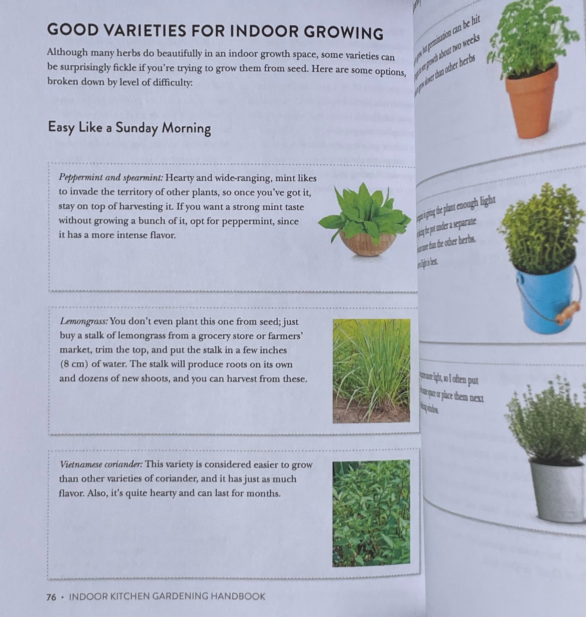 Herb Vegetable House Plant Indoor Kitchen Gardening Handbook - Projects and Inspiration to Grow Food Year Round