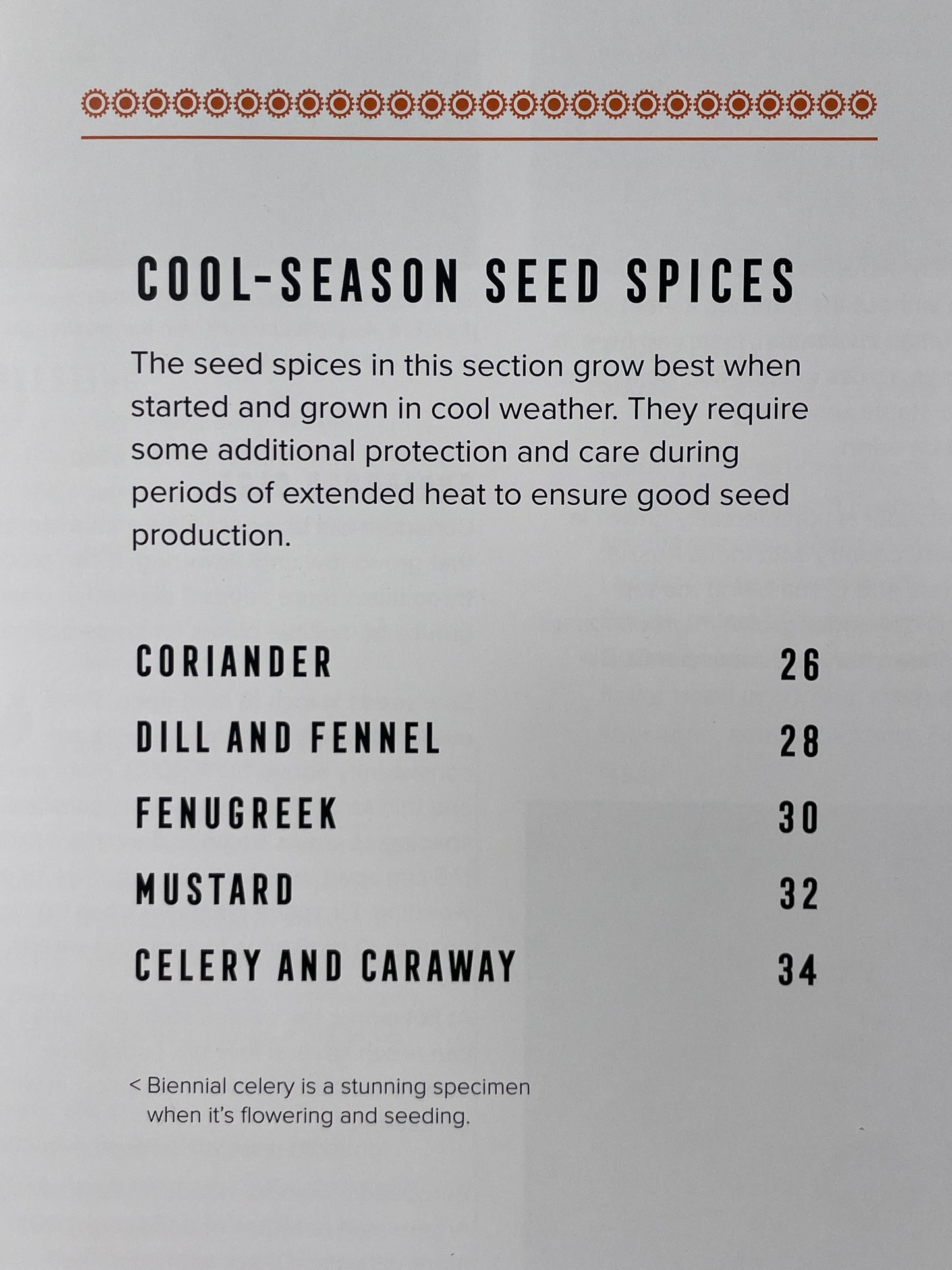 How to Grow Your Own Spices Cookbook Herb and Spice Remedy Recipe Book Housewarming Gift for Cook Herbal Enthusiast Present Idea Gardener