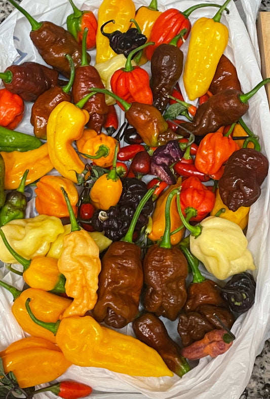 Mystery Pack of Hot Pepper Seeds