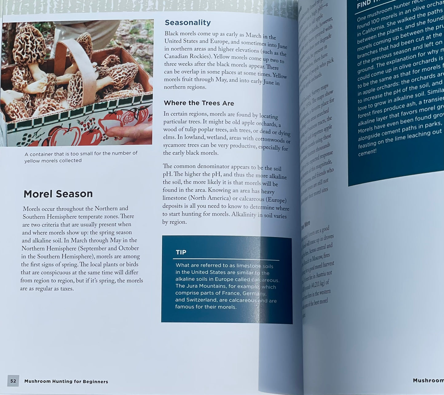 Mushroom Hunting for Beginners: A Starter's Guide to Identifying and Foraging Fungi Gary Lincoff Adaptogen Mushroom Book