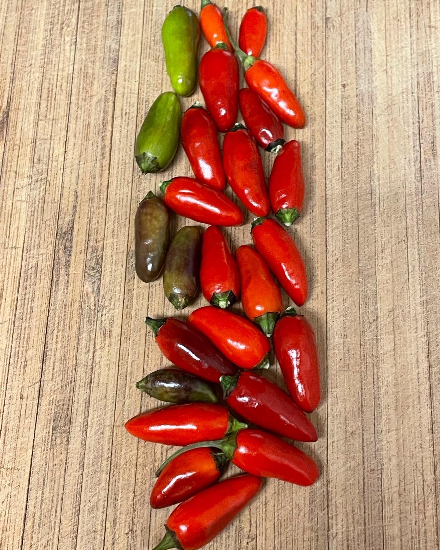 Peruvian Purple Hot Pepper Seeds