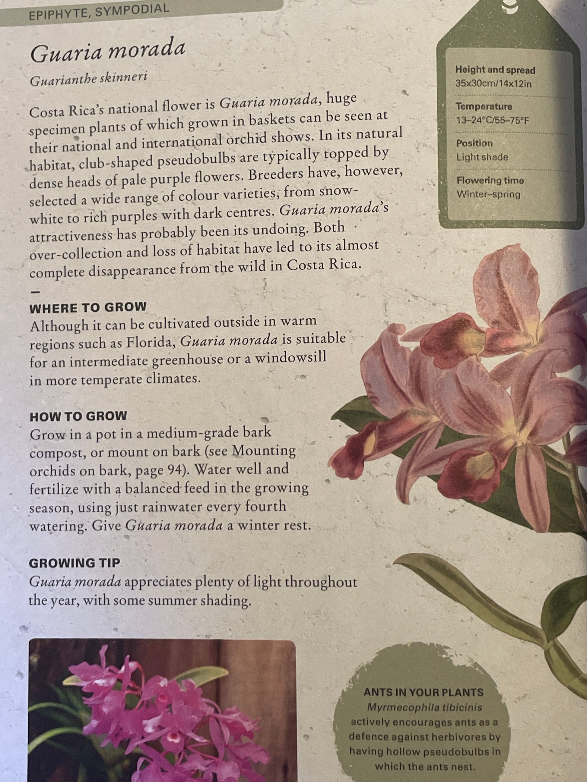 The Kew Gardener’s Guide to Growing Orchids - The Art and Science to Grow your Own Orchids Gardening Book