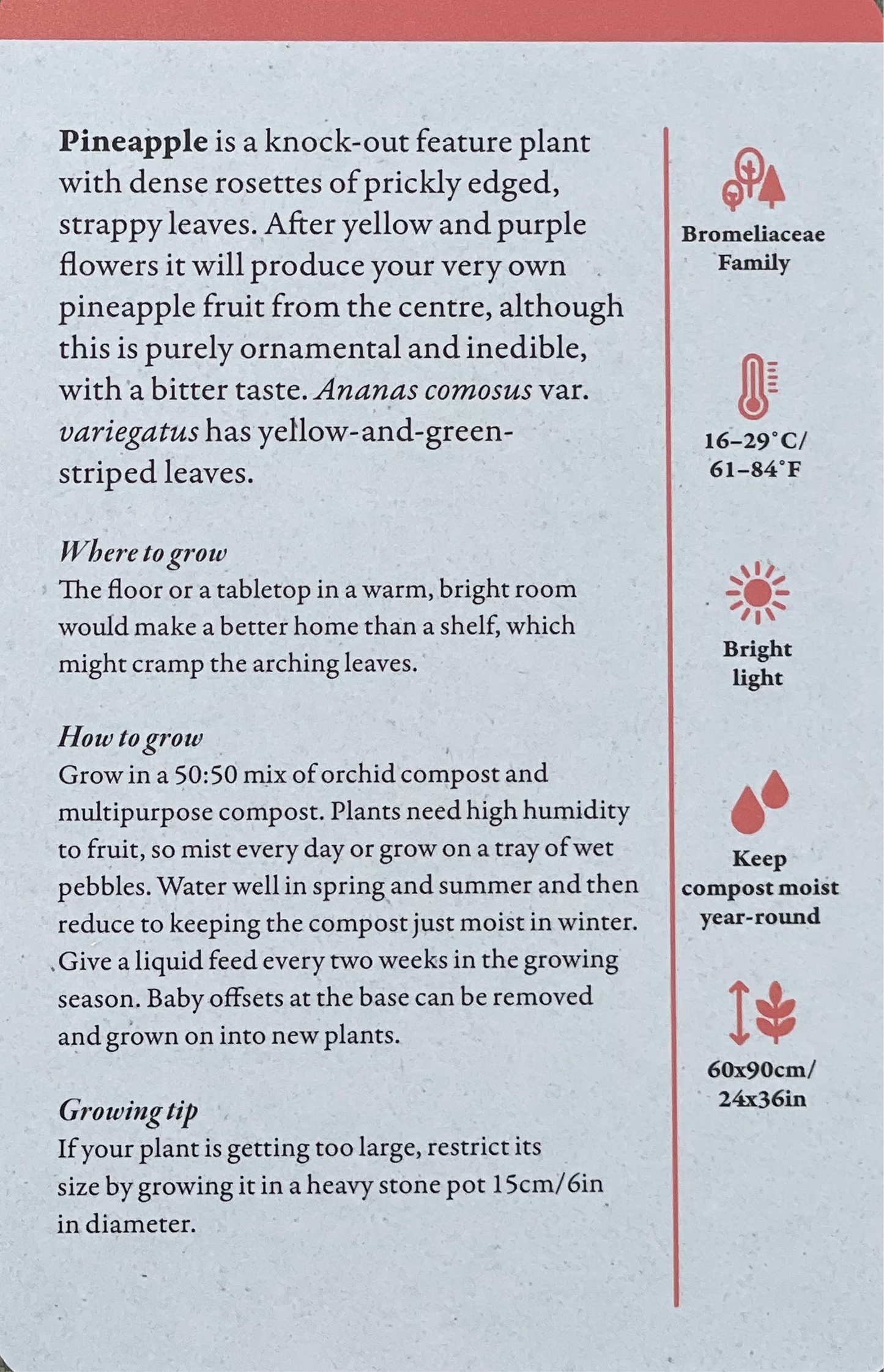 A Home Full of House Plants - A Practical Card Deck by Kay Maguire - Royal Botanic Gardens Kew