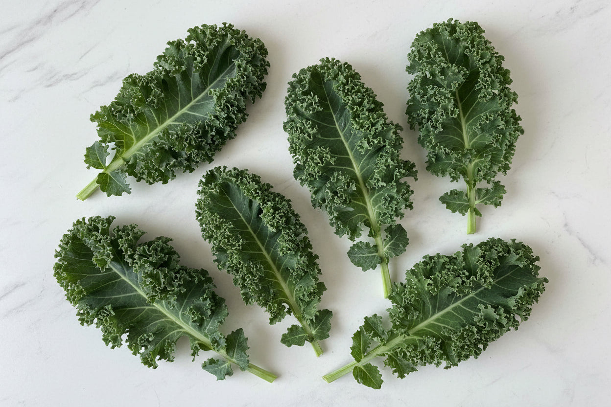 Dwarf Siberian Kale Seeds Organic Green Lettuce Heirloom Seeds Non GMO Salad Greens Winter Spring Garden Gift Idea for Salad Lover Gardener