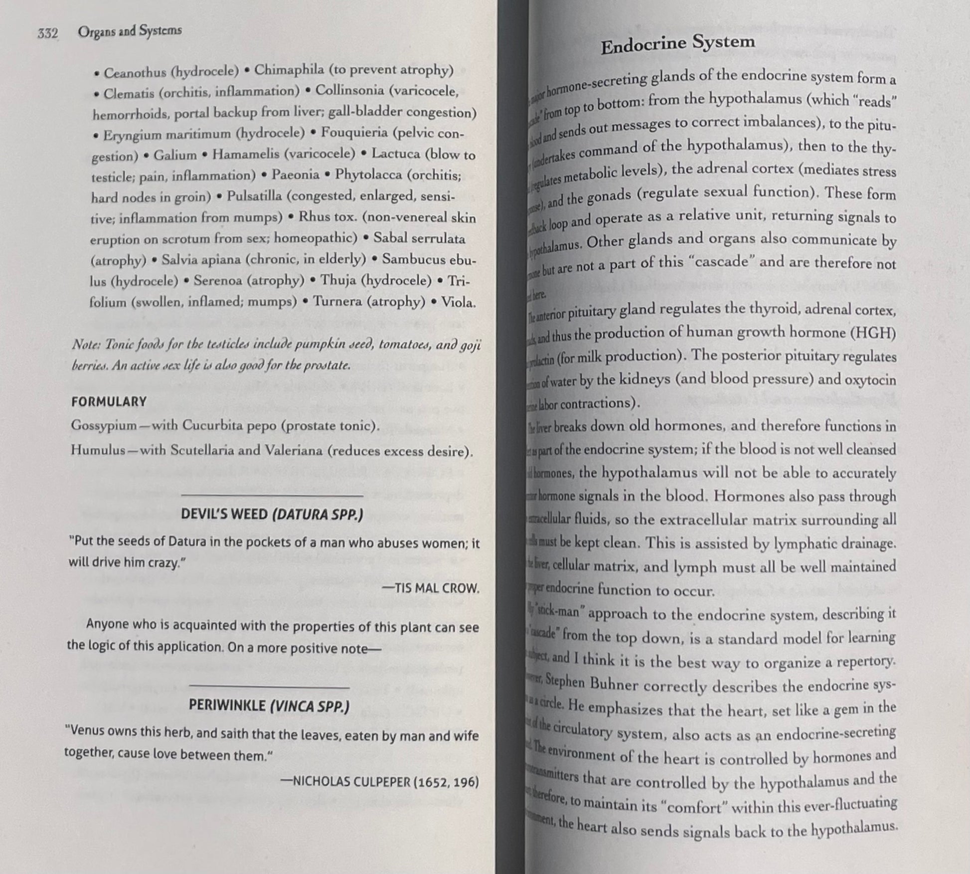 The Earthwise Herbal Repertory: The Definitive Practitioner's Guide by Matthew Wood 