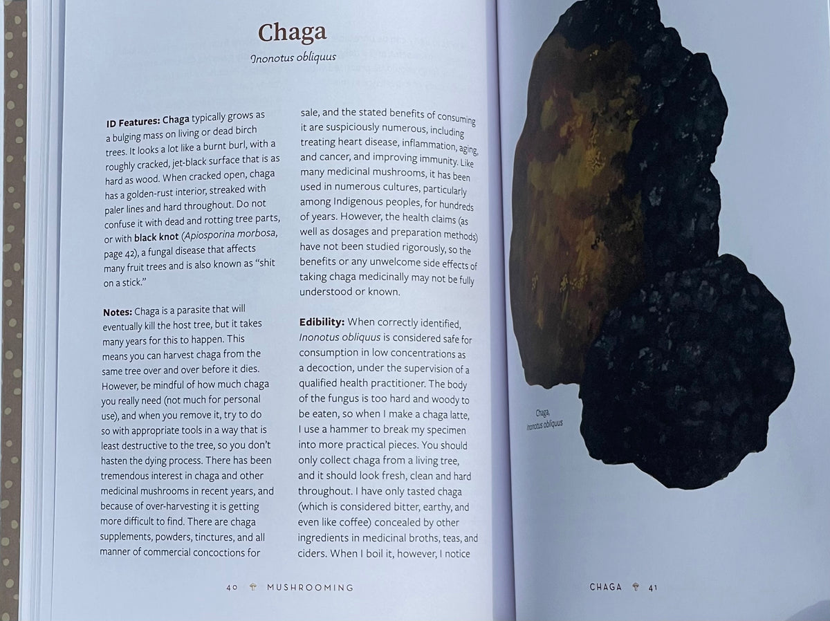 Mushrooming: An Illustrated Guide to the Fantastic, Delicious, Deadly, and Strange World of Fungi Adaptagen Cordyceps Chaga
