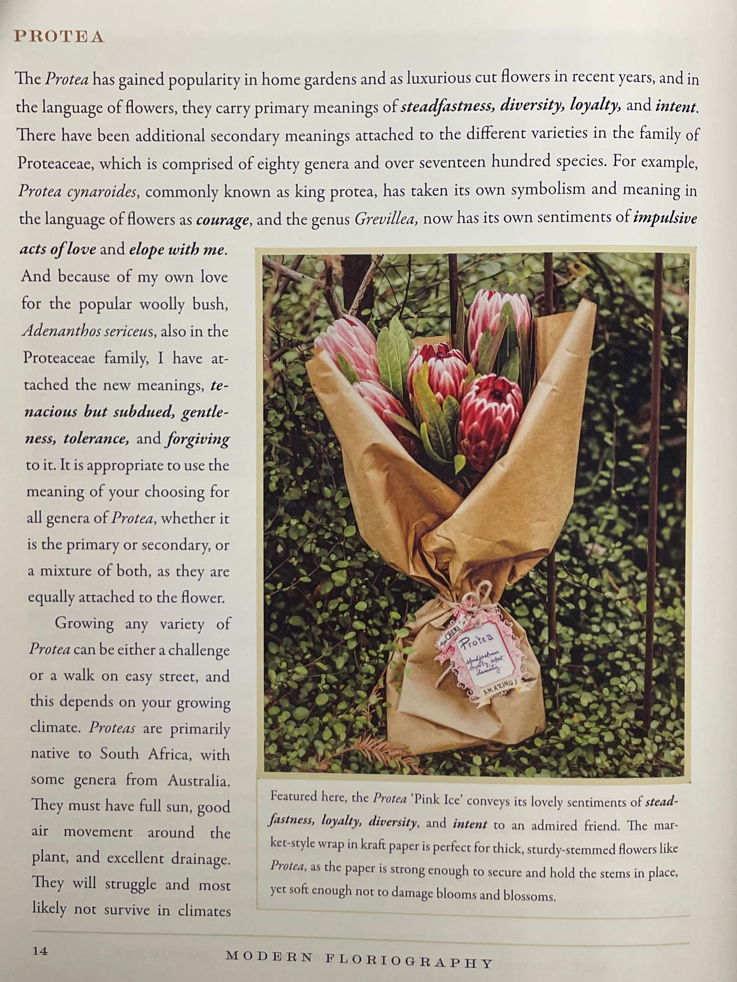 Modern Floriography Book of Flowers Garden Gift Language of Flowers Birthday Present Idea for Flower Lover Flower Design Floral Arrangement