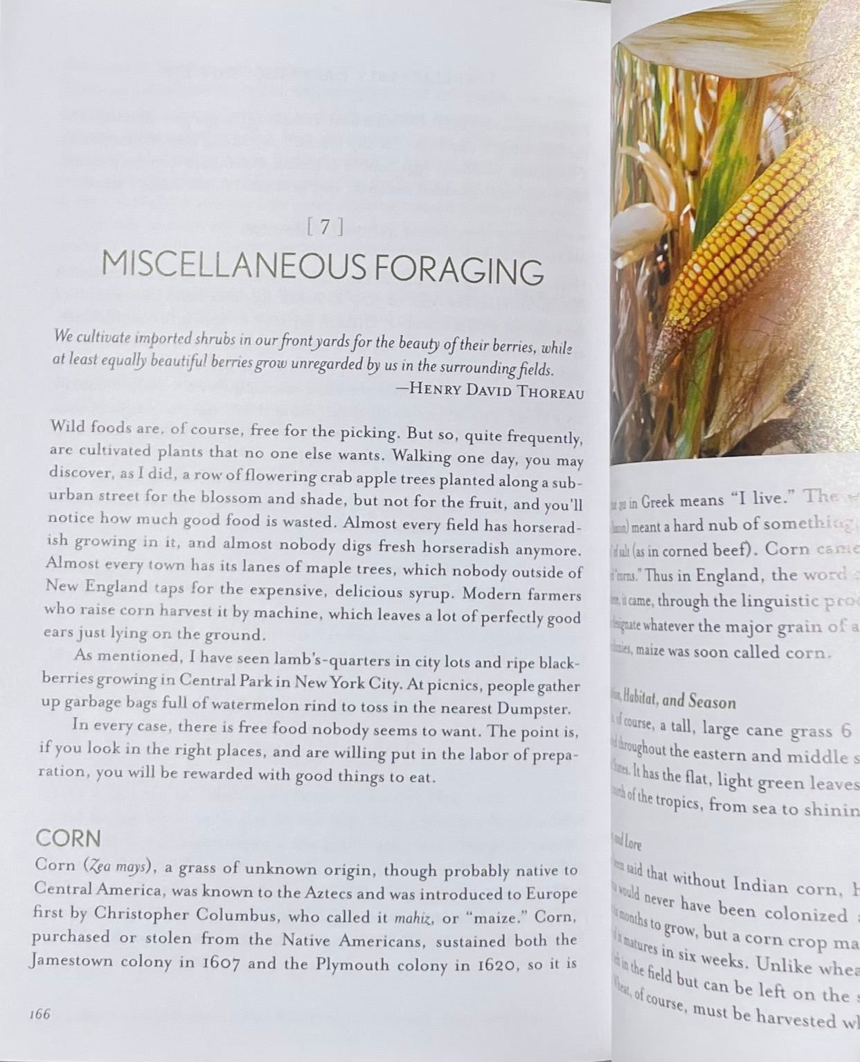 The Complete Guide to Edible Wild Plants, Mushrooms, Fruits Nuts: Finding, Identifying, Cooking - Kate Letcher Lyle