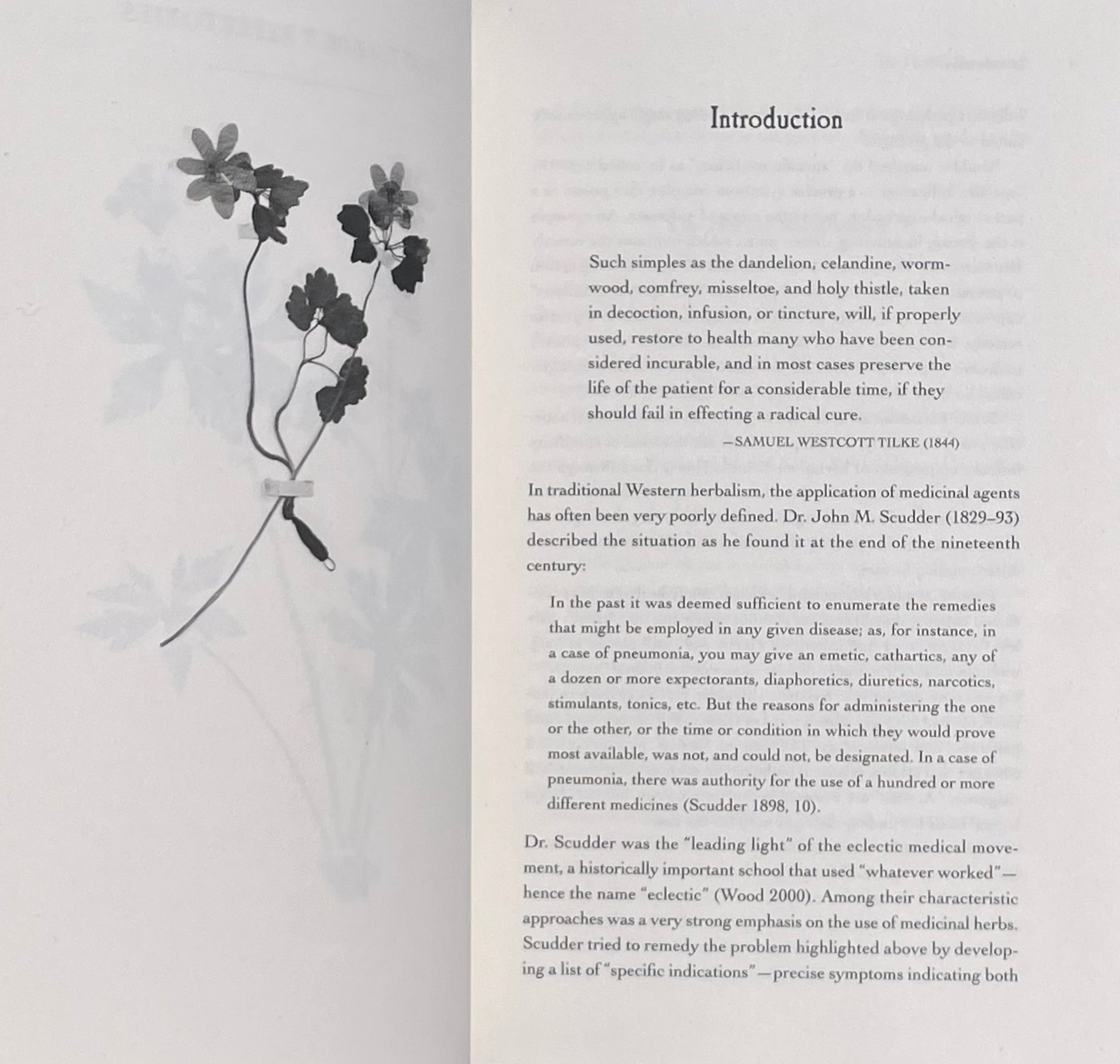 The Earthwise Herbal Repertory: The Definitive Practitioner's Guide by Matthew Wood 