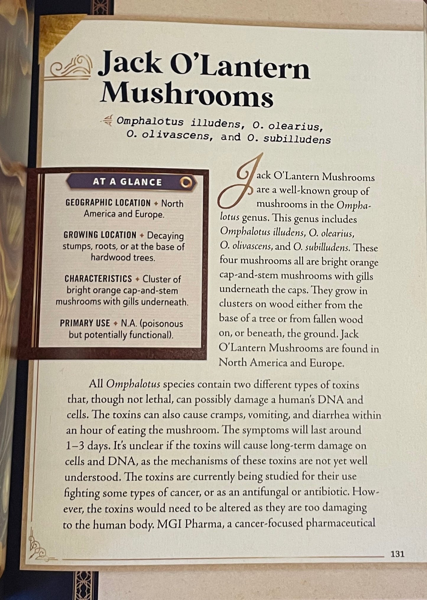 The Little Book of Mushrooms