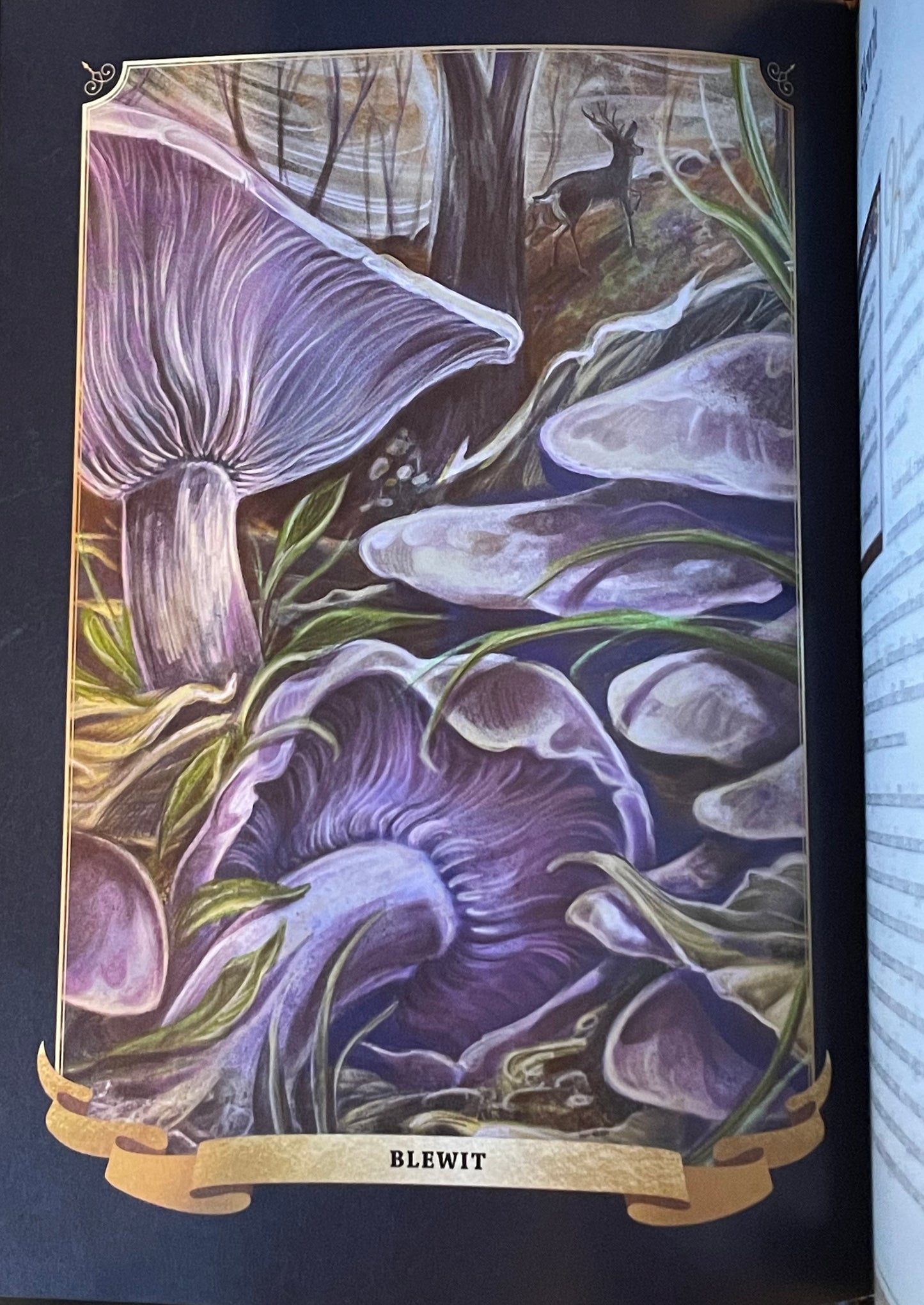 The Little Book of Mushrooms