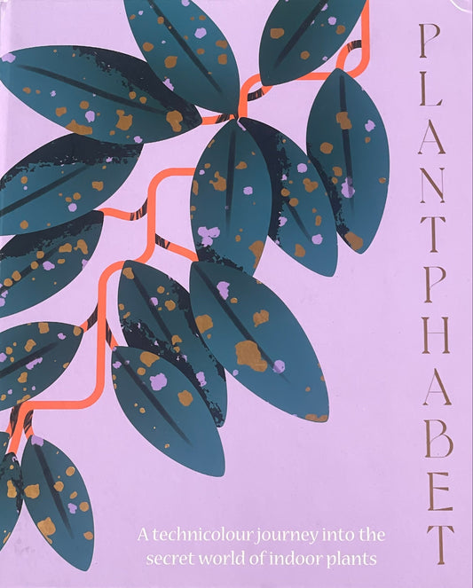 Plantphabet An A to-Z technicolour journey into the secret world of indoor plants
