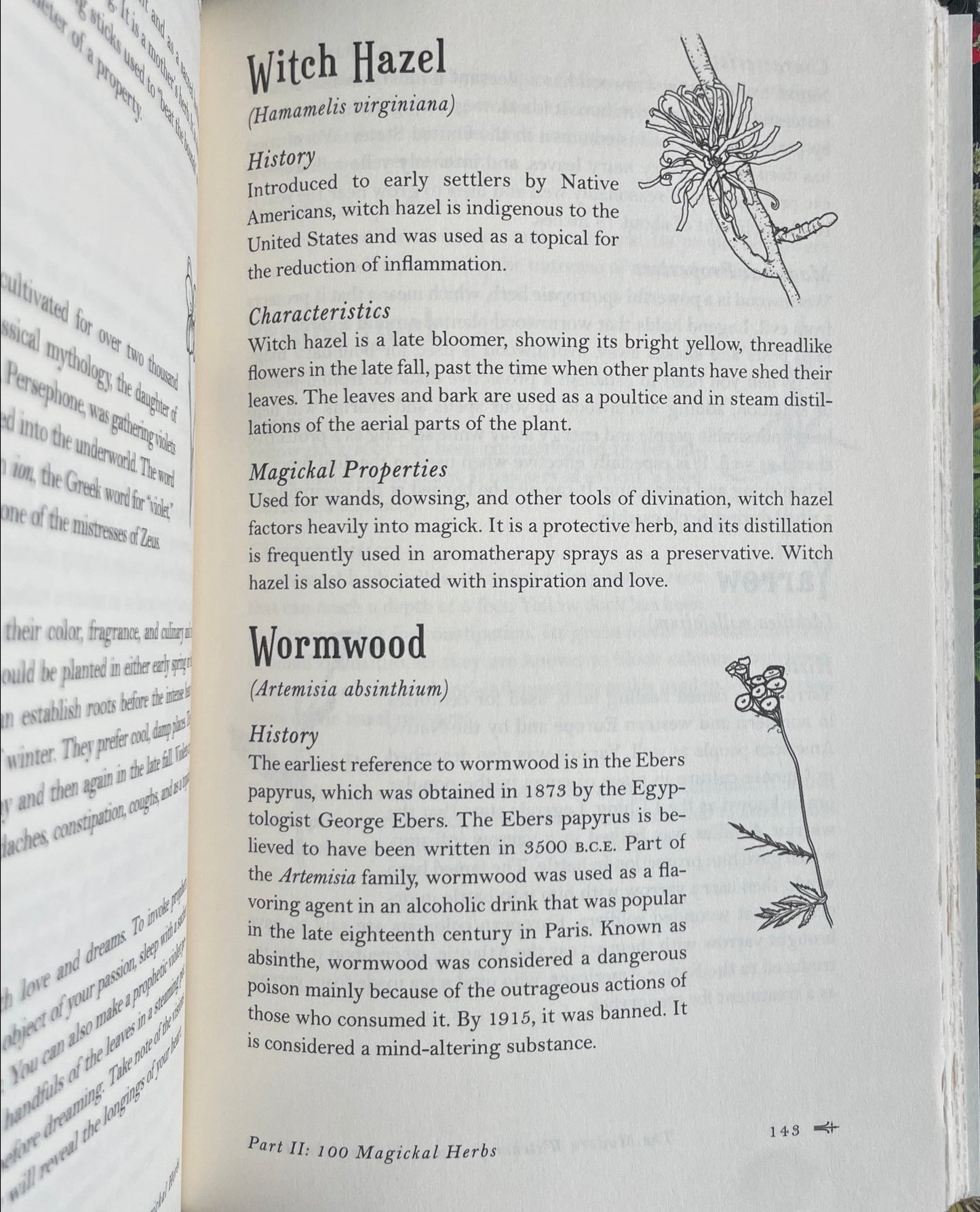 The Modern Withcraft Guide to Magikal Herbs by Judy Ann Nock - Witch Hazel Wormwood