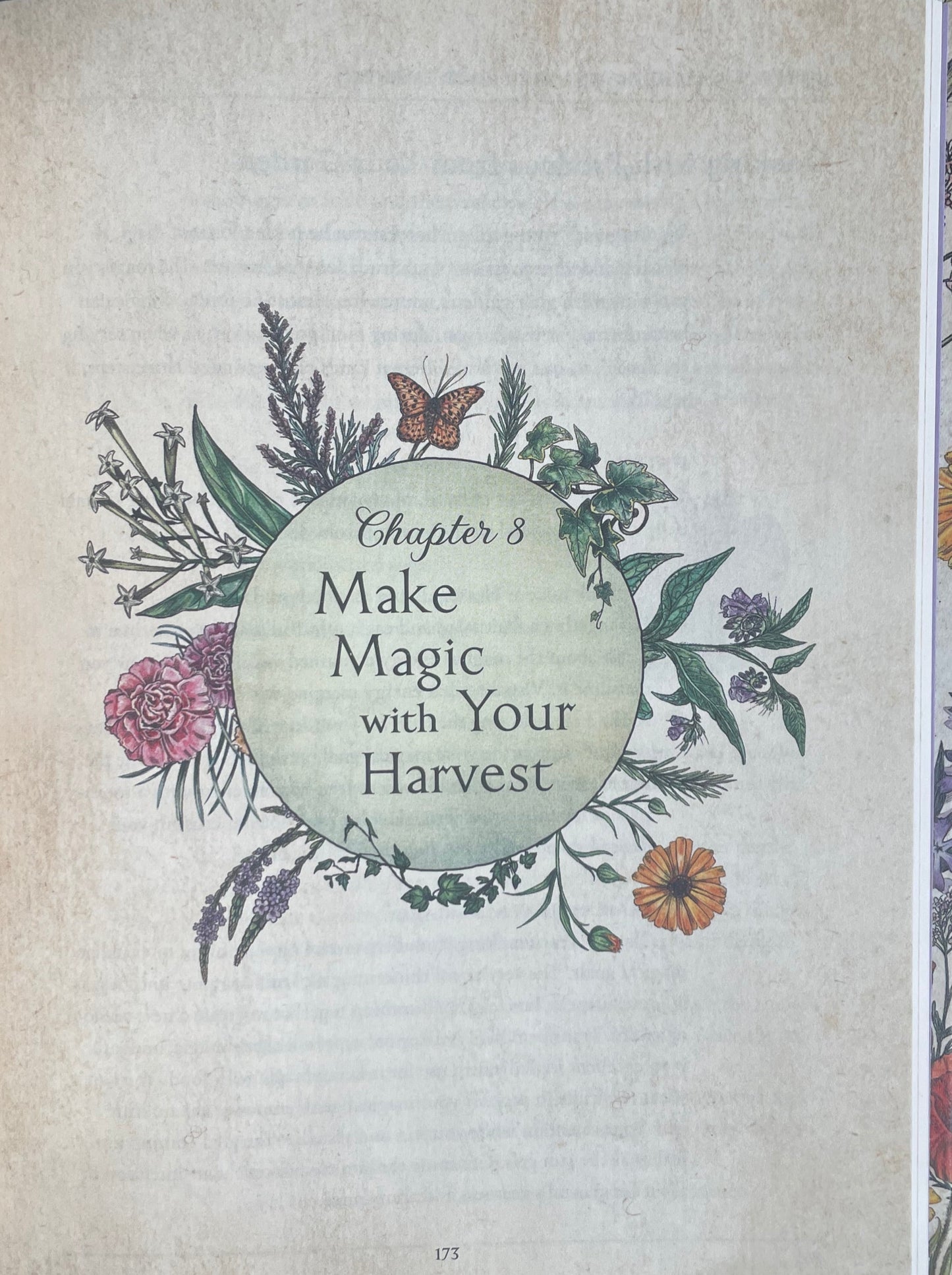 Make Magic with Your Harvest from Green Witch's Garden - Your Complete guide to creating & cultivating a magical garden space Book