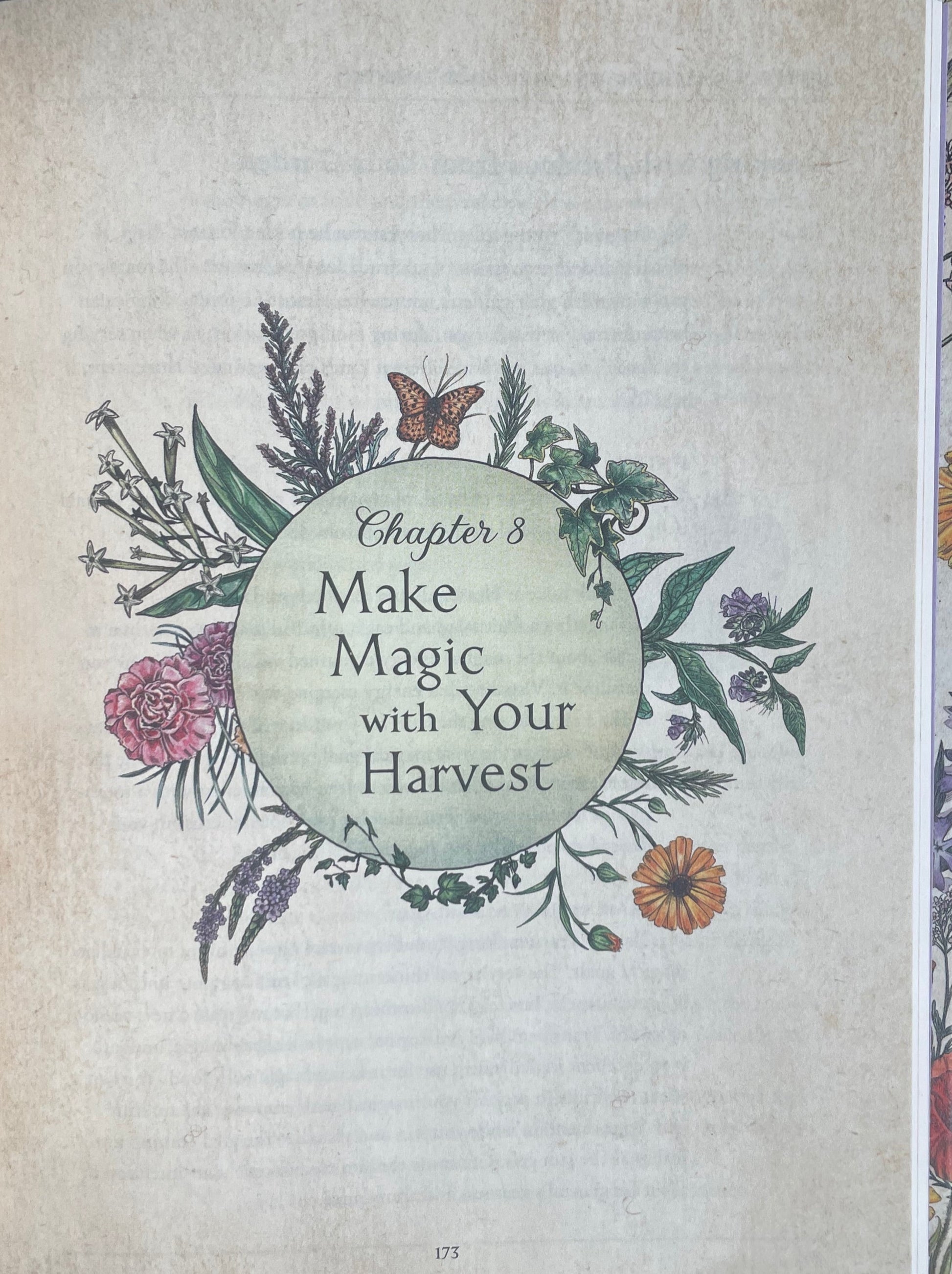 Make Magic with Your Harvest from Green Witch's Garden - Your Complete guide to creating & cultivating a magical garden space Book