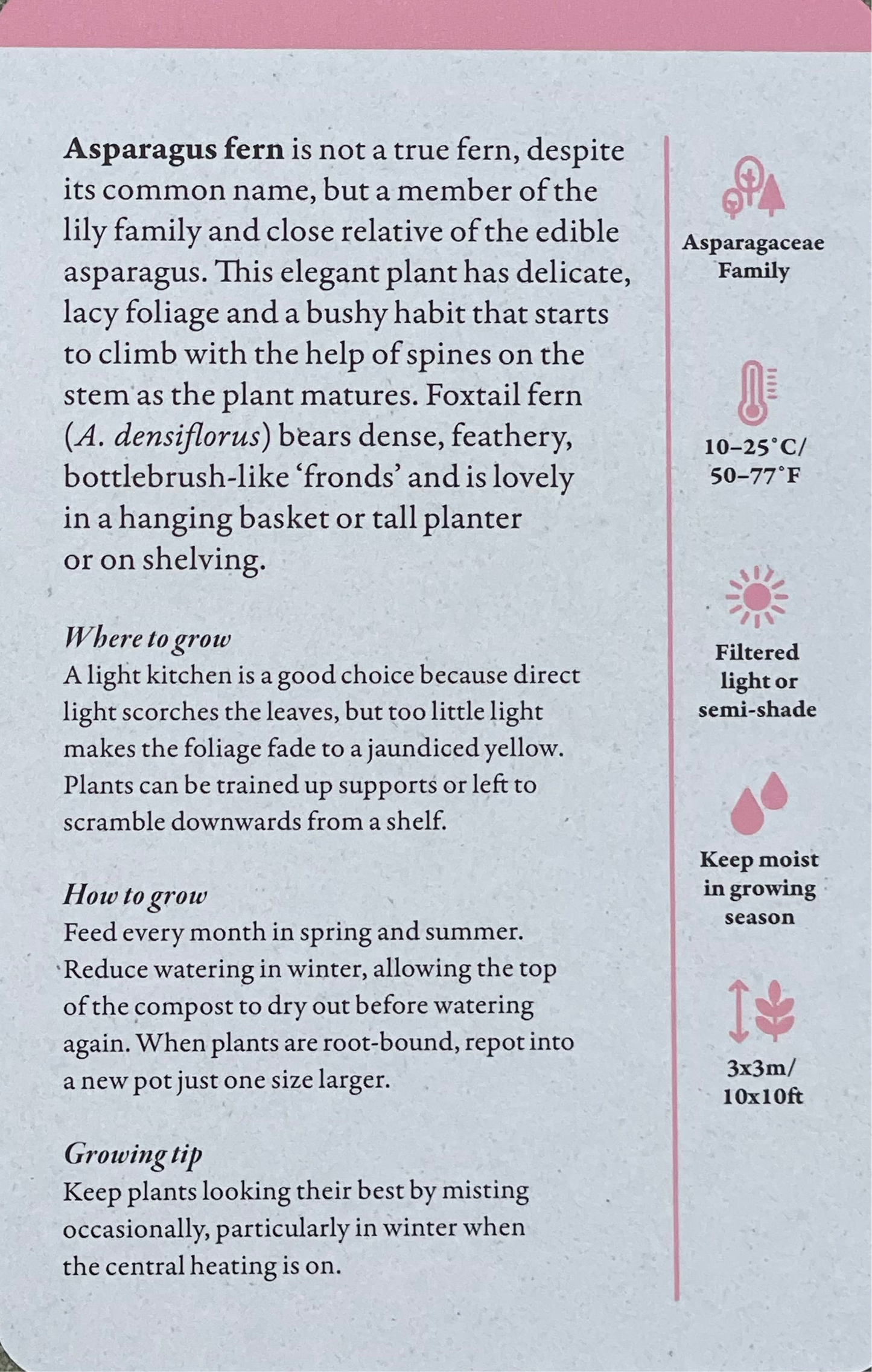 A Home Full of House Plants - A Practical Card Deck by Kay Maguire - Royal Botanic Gardens Kew