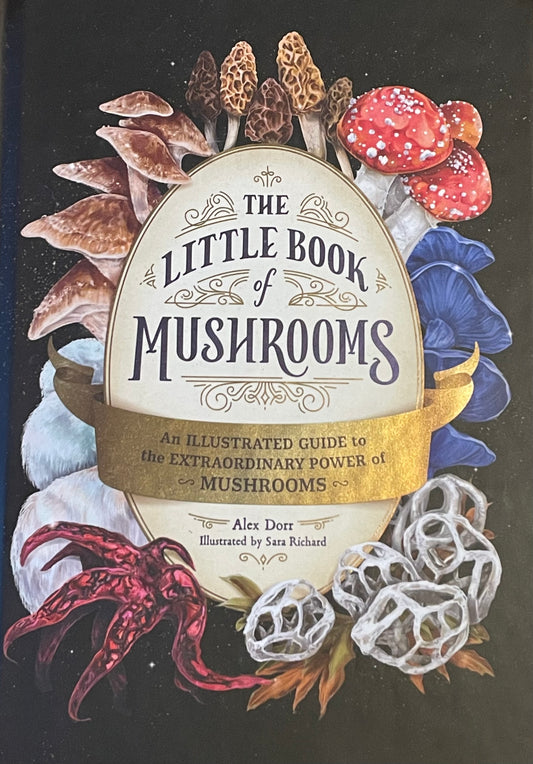 The Little Book of Mushrooms the power of mushrooms Alex Dorr