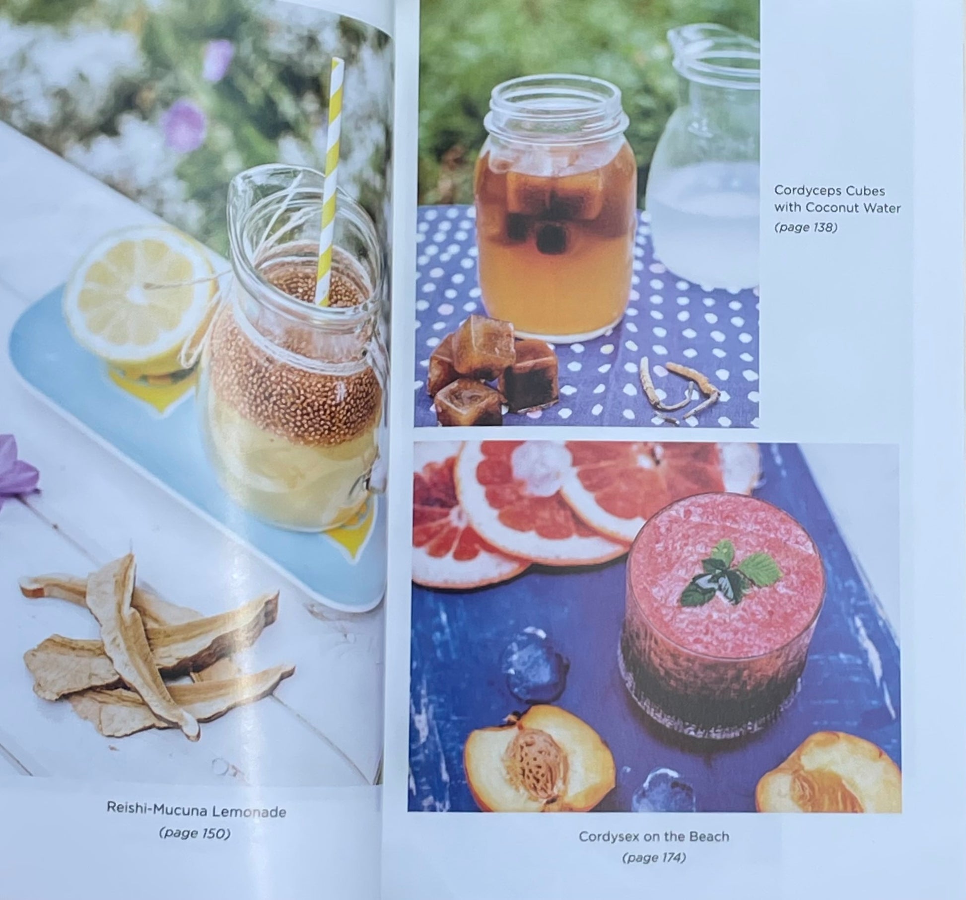Adaptogenic Healing Mushrooms: A Practical and Culinary Guide to Using Mushrooms for Whole Body Health by Tero Isokauppila - Chaga Cordyceps Reishi