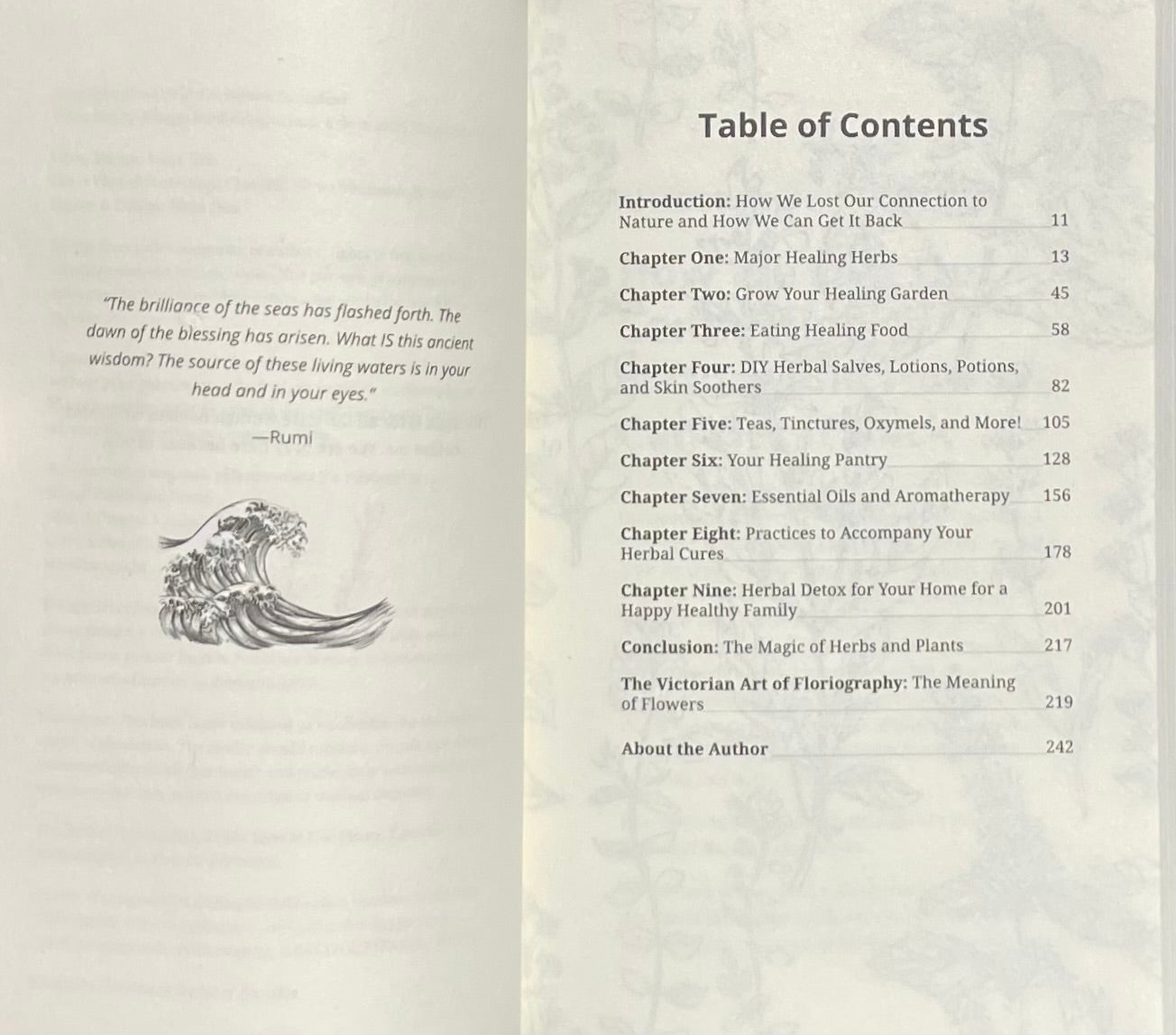 The Herbal Healing Handbook How to use Plants, Essential Oils and Aromatherapy as Natural Remedies