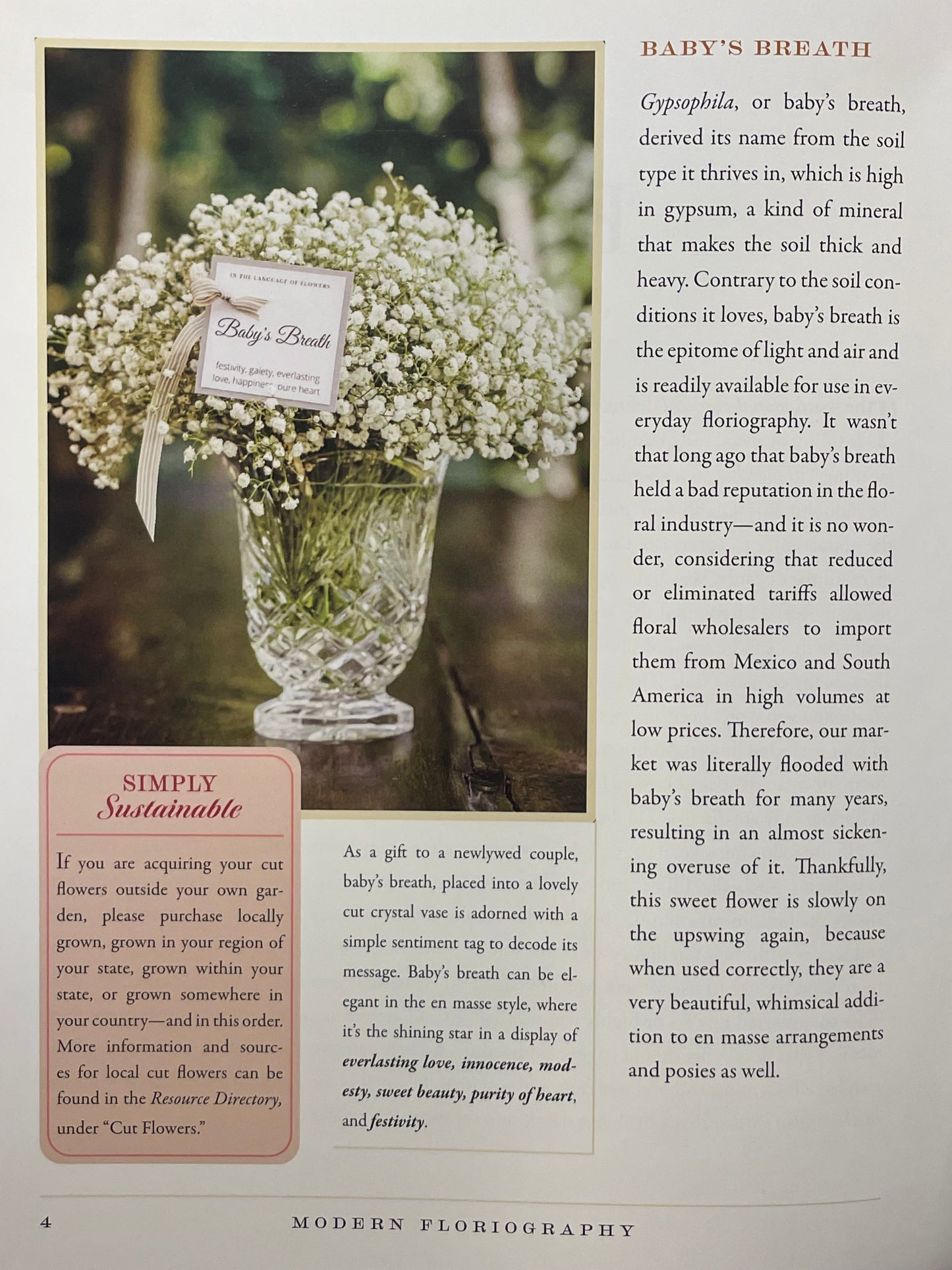 Modern Floriography Book of Flowers Garden Gift Language of Flowers Birthday Present Idea for Flower Lover Flower Design Floral Arrangement