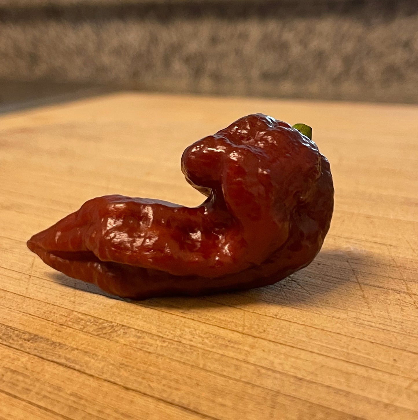 Death Spiral Hot Pepper