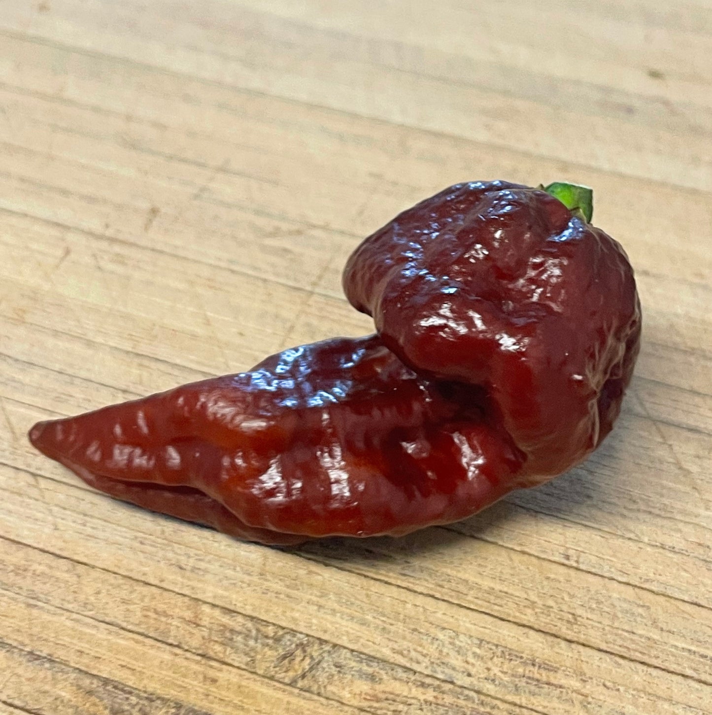 Death Spiral Hot Pepper