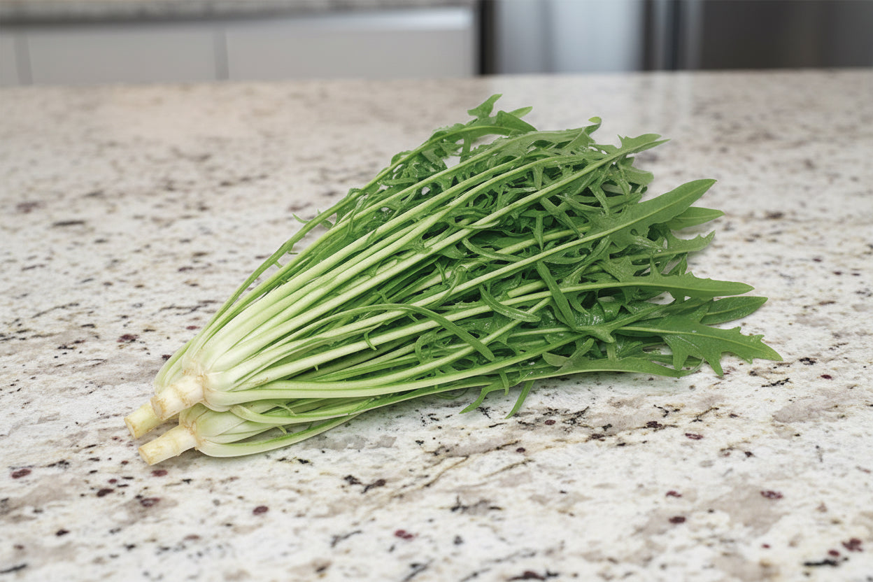 Cicoria Seeds Italian Chicory Organic Non-GMO Heirloom Seeds Non GMO Easy to Grow Salad Greens Winter Spring Garden Gift Idea for Gardener