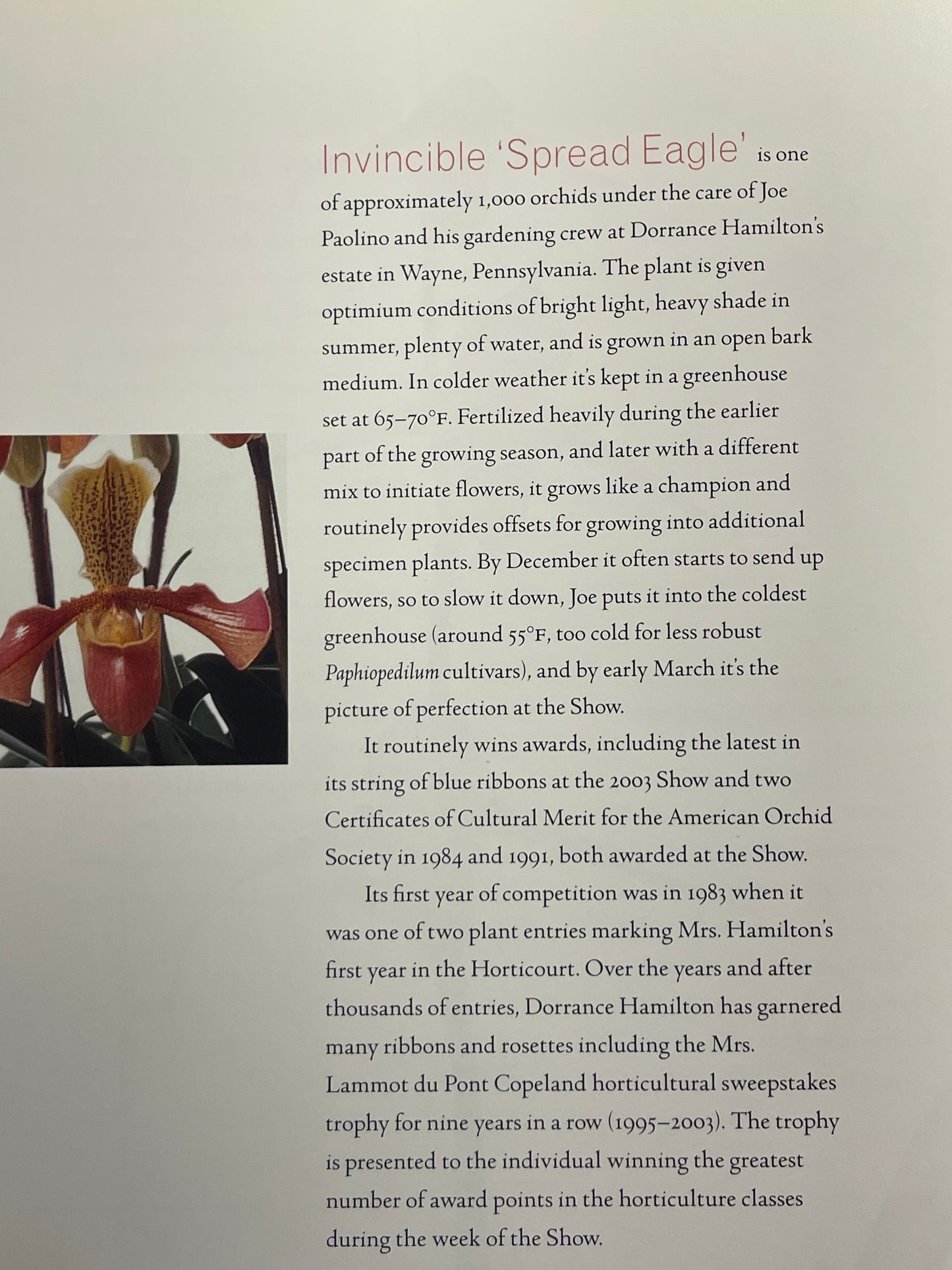 Language of Flower Arranging Philadelphia Flower Show Coffee Table Book Horticulture Floral Prints Plant and Garden History of Botany Gift