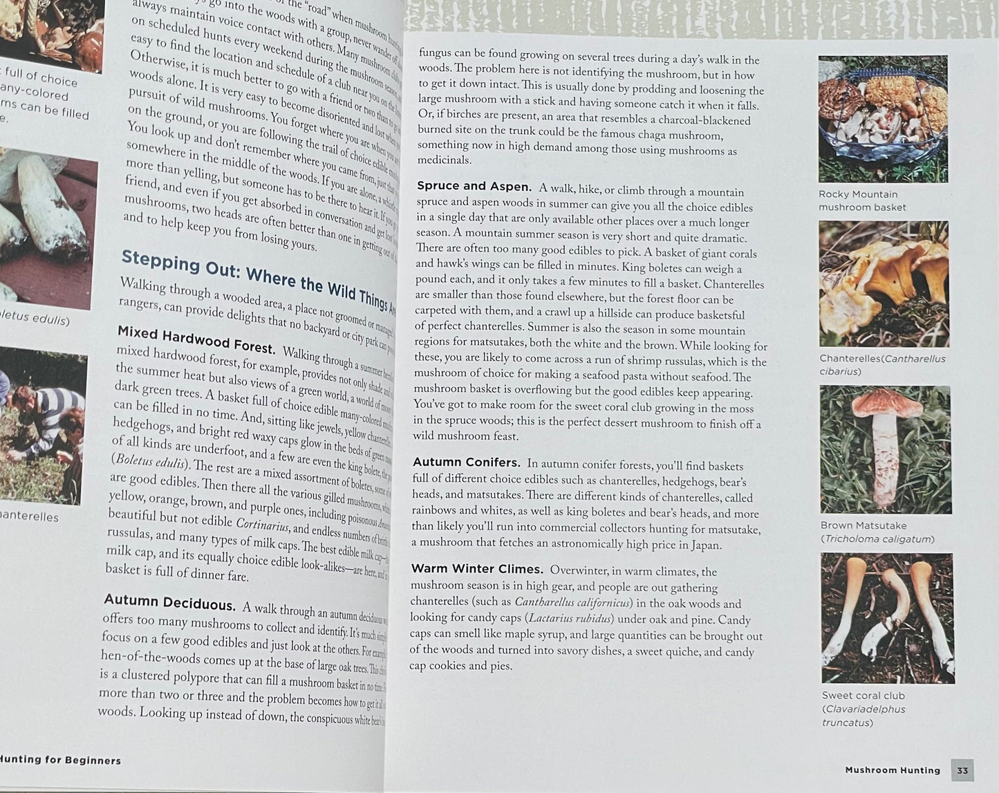Mushroom Hunting for Beginners: A Starter's Guide to Identifying and Foraging Fungi Gary Lincoff Adaptogen Mushroom Book