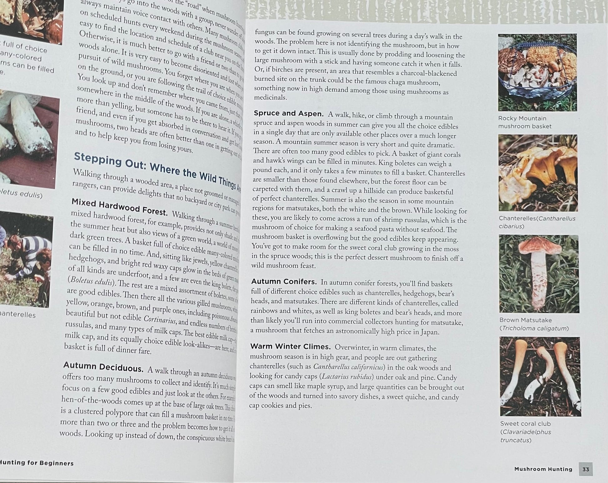 Mushroom Hunting for Beginners: A Starter's Guide to Identifying and Foraging Fungi Gary Lincoff Adaptogen Mushroom Book