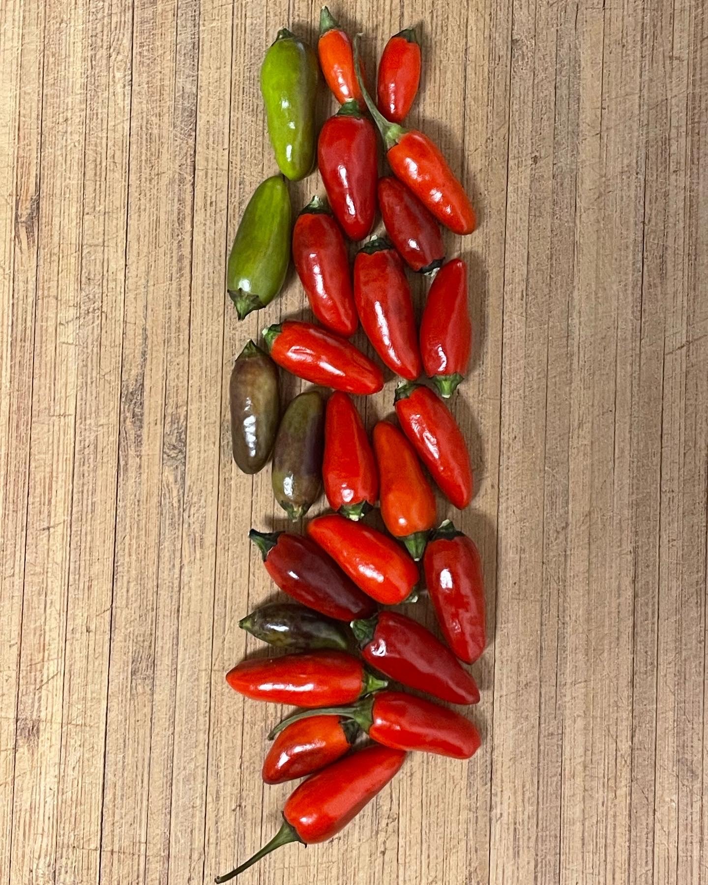 Peruvian Purple Hot Pepper Seeds