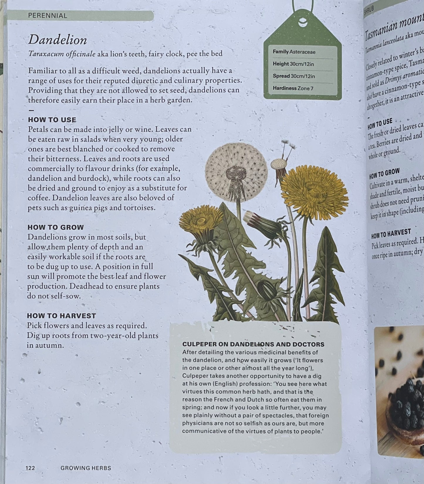 The Kew Gardener's Guide to Growing Herbs: The art and science to grow your own herbs (Volume 2) Hardcover